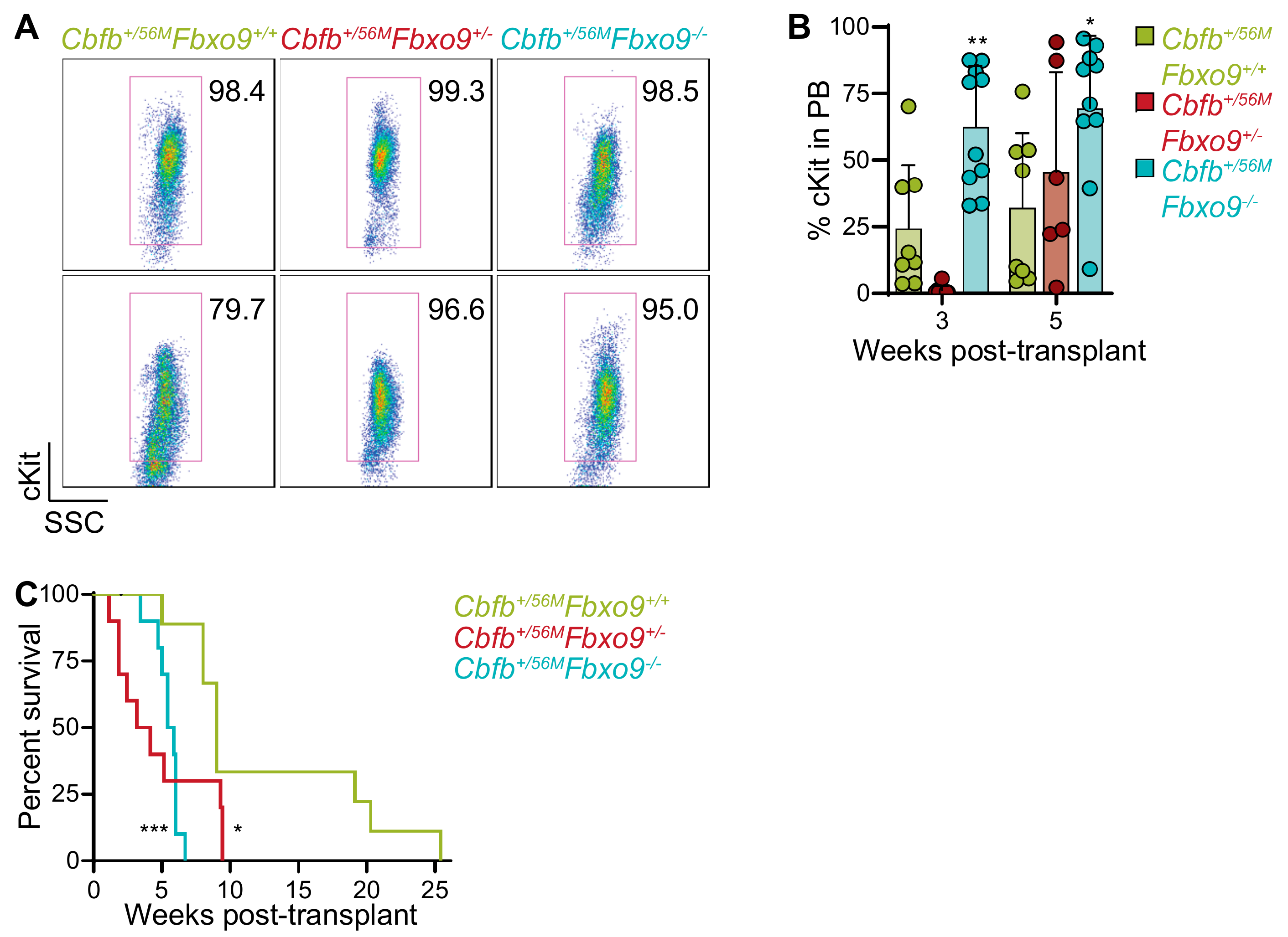 Cancers 11 01717 g005 Cancers 11 01717 g005