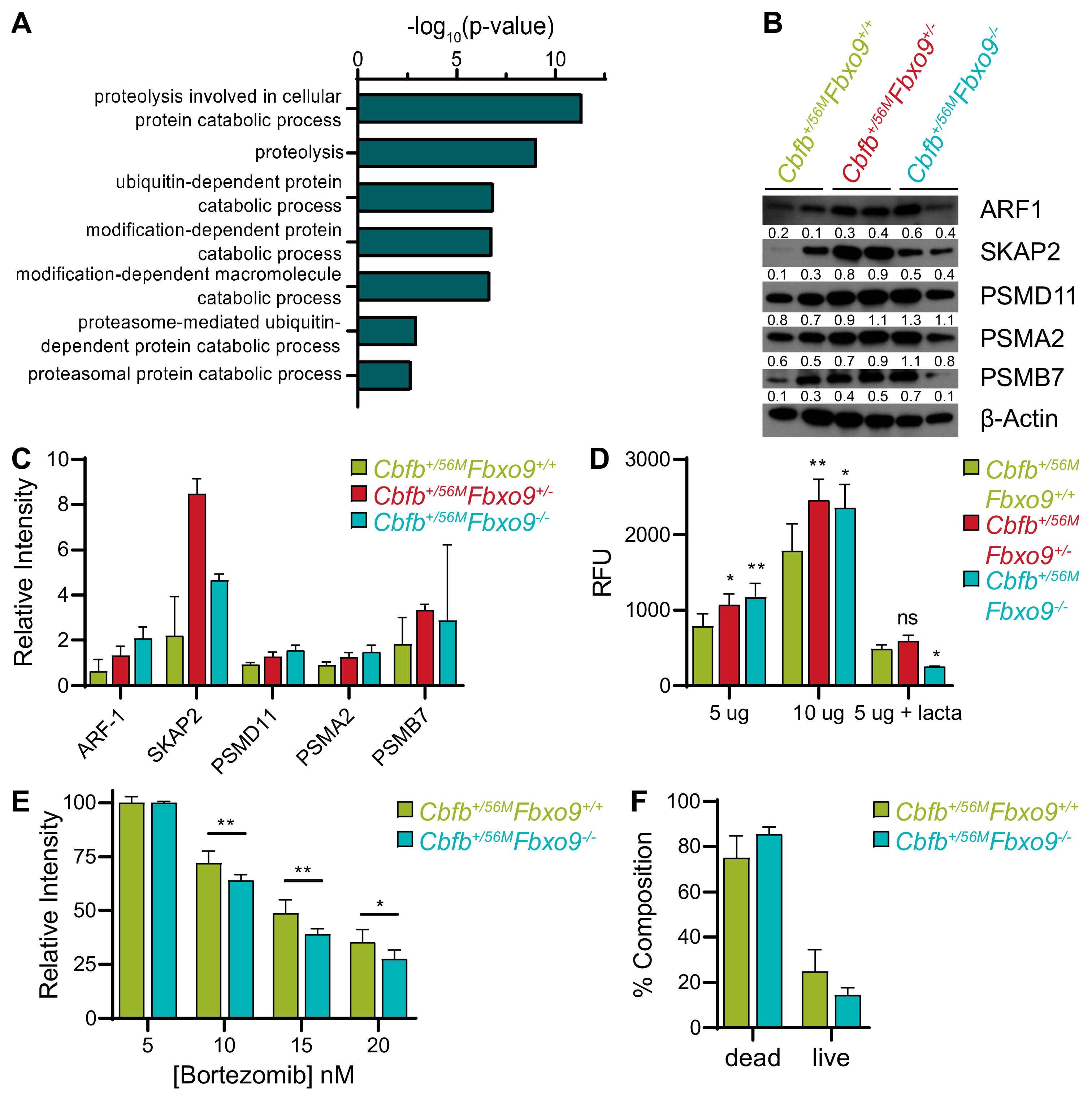 Cancers 11 01717 g007 Cancers 11 01717 g007