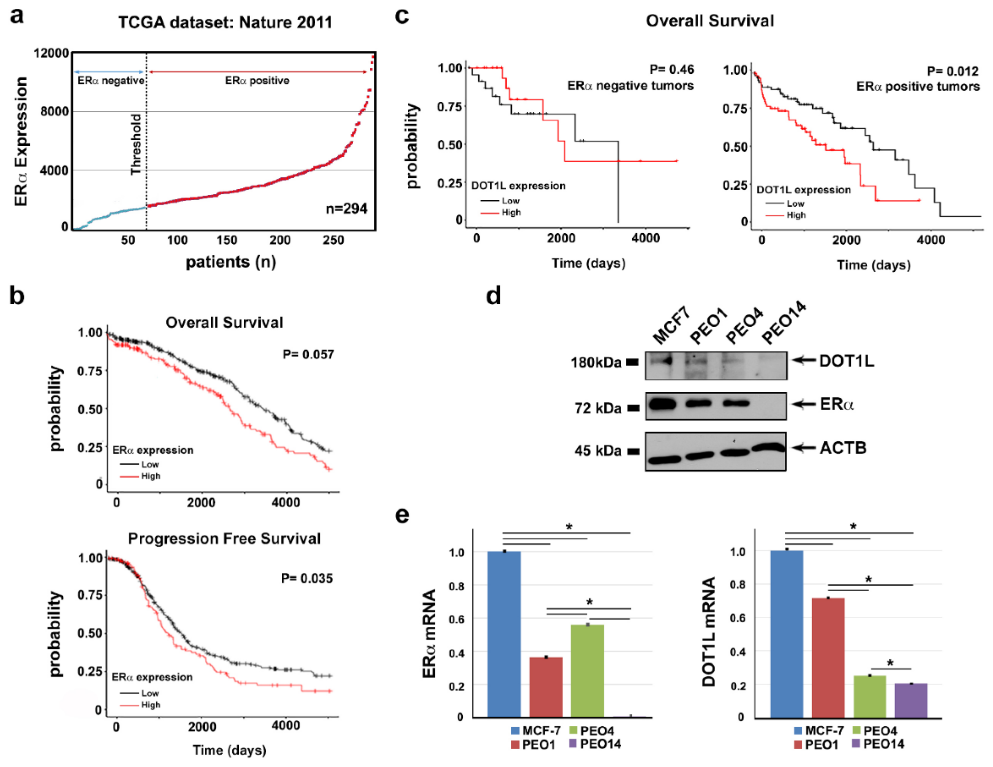 Cancers 11 01720 g001 Cancers 11 01720 g001