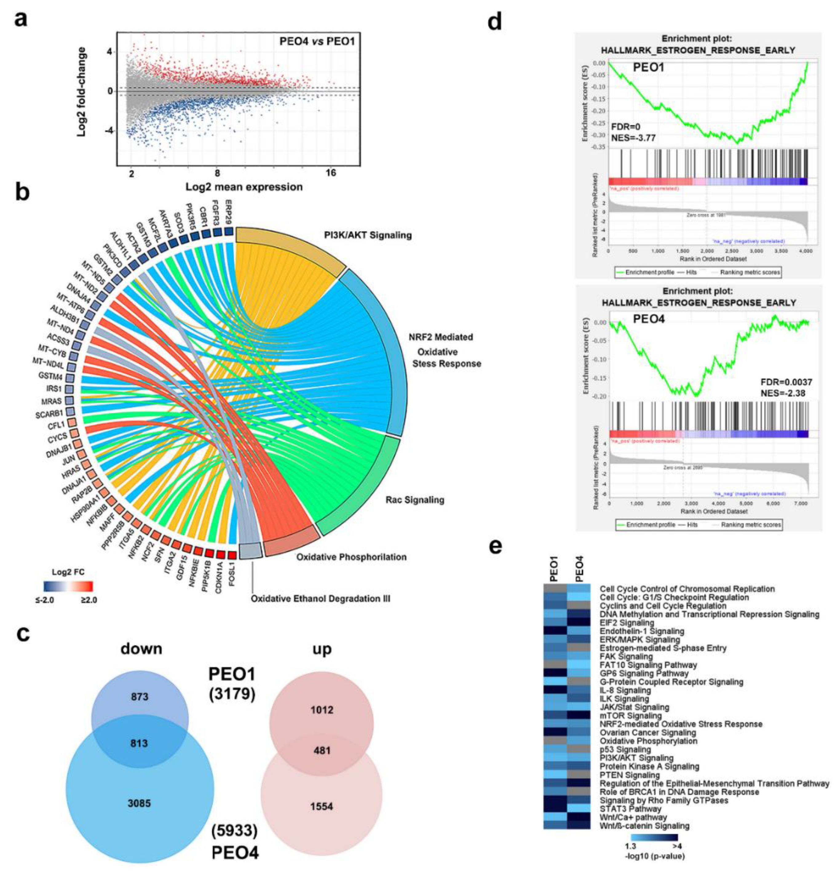 Cancers 11 01720 g002 Cancers 11 01720 g002