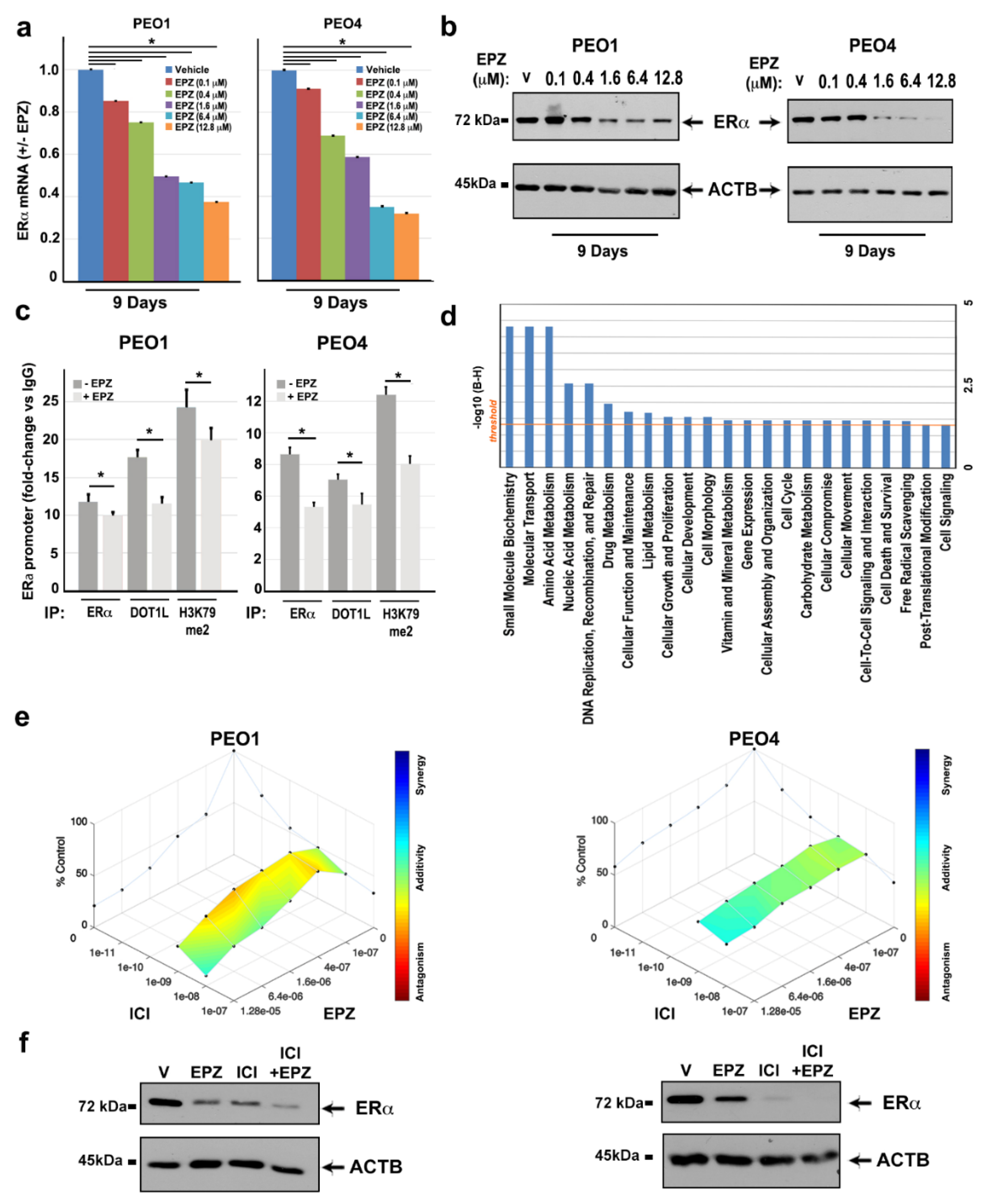 Cancers 11 01720 g005 Cancers 11 01720 g005