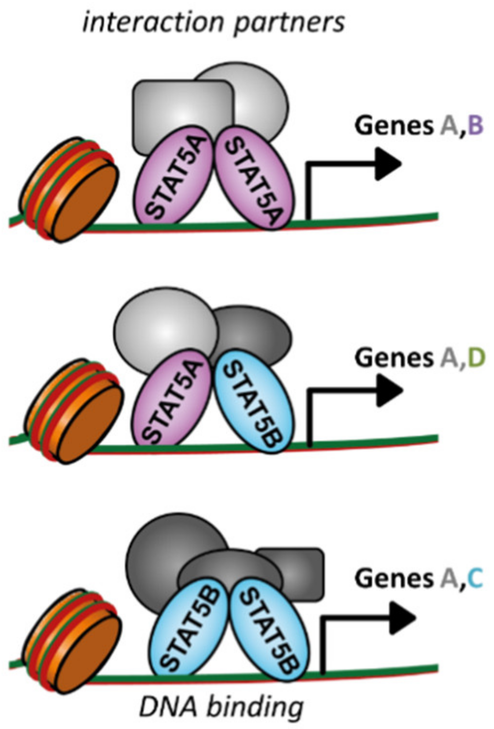 Cancers 11 01726 g003