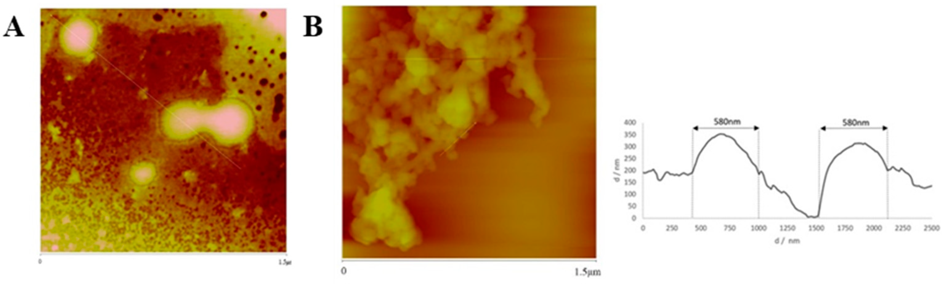 Cancers 11 01733 g007