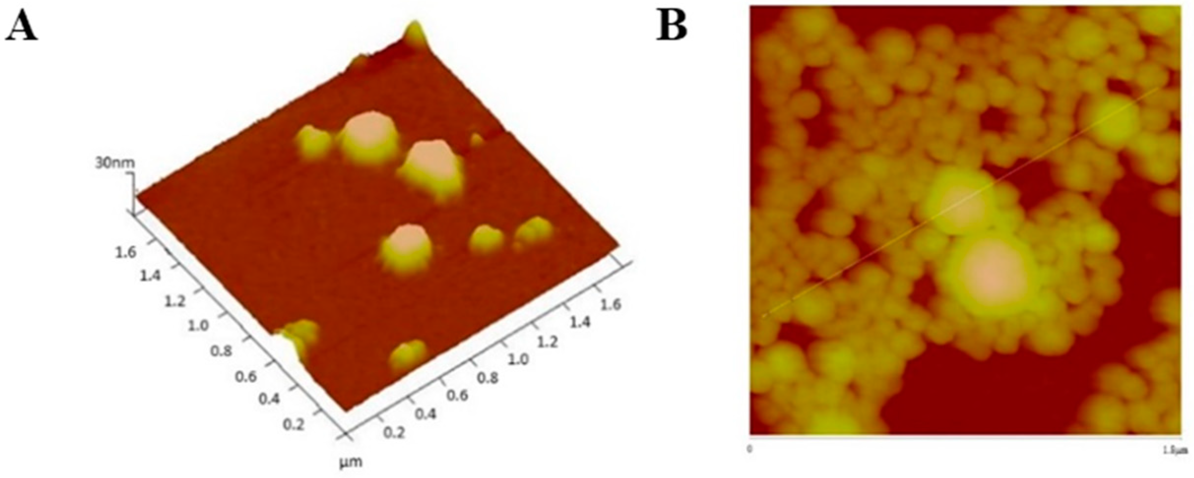 Cancers 11 01733 g008