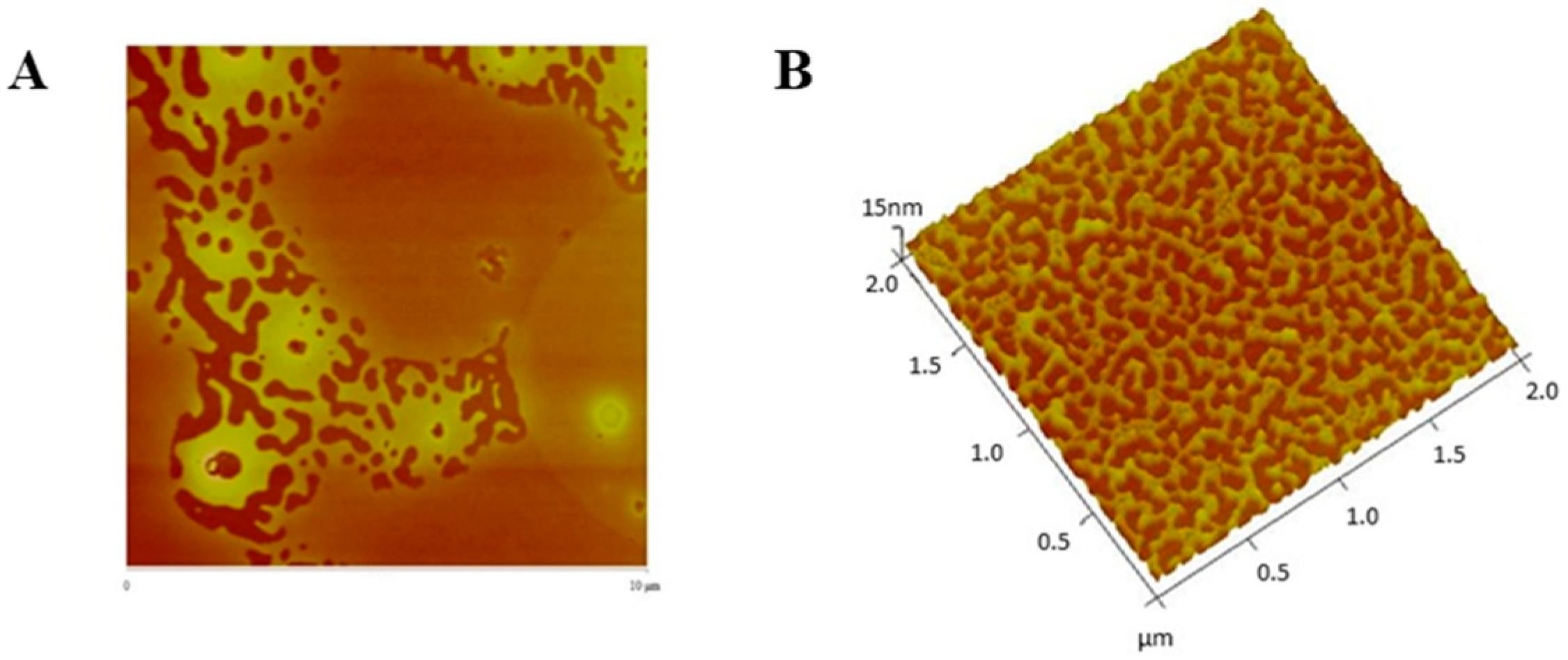 Cancers 11 01733 g009