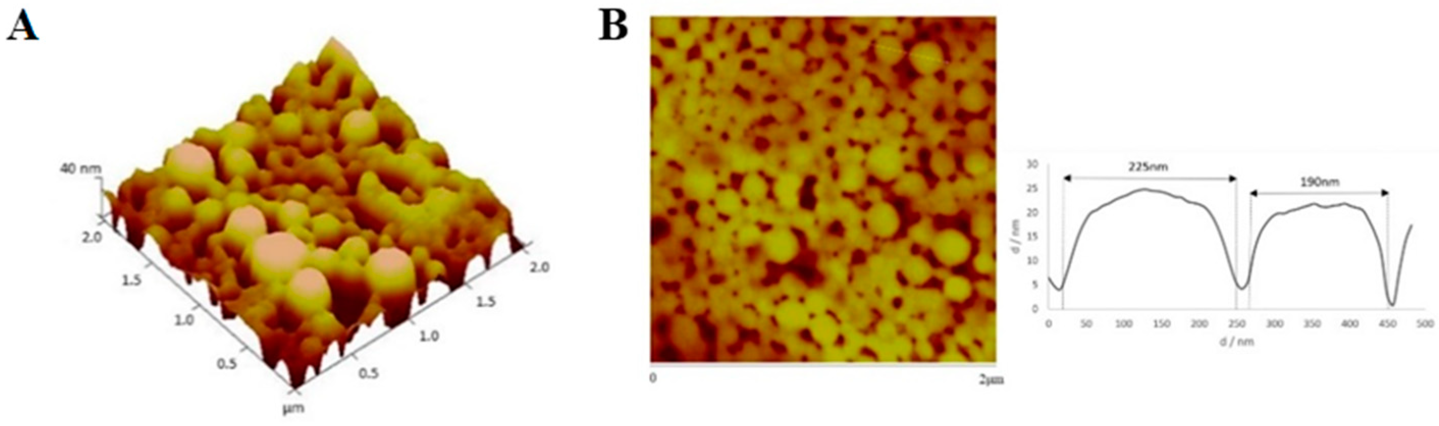 Cancers 11 01733 g010