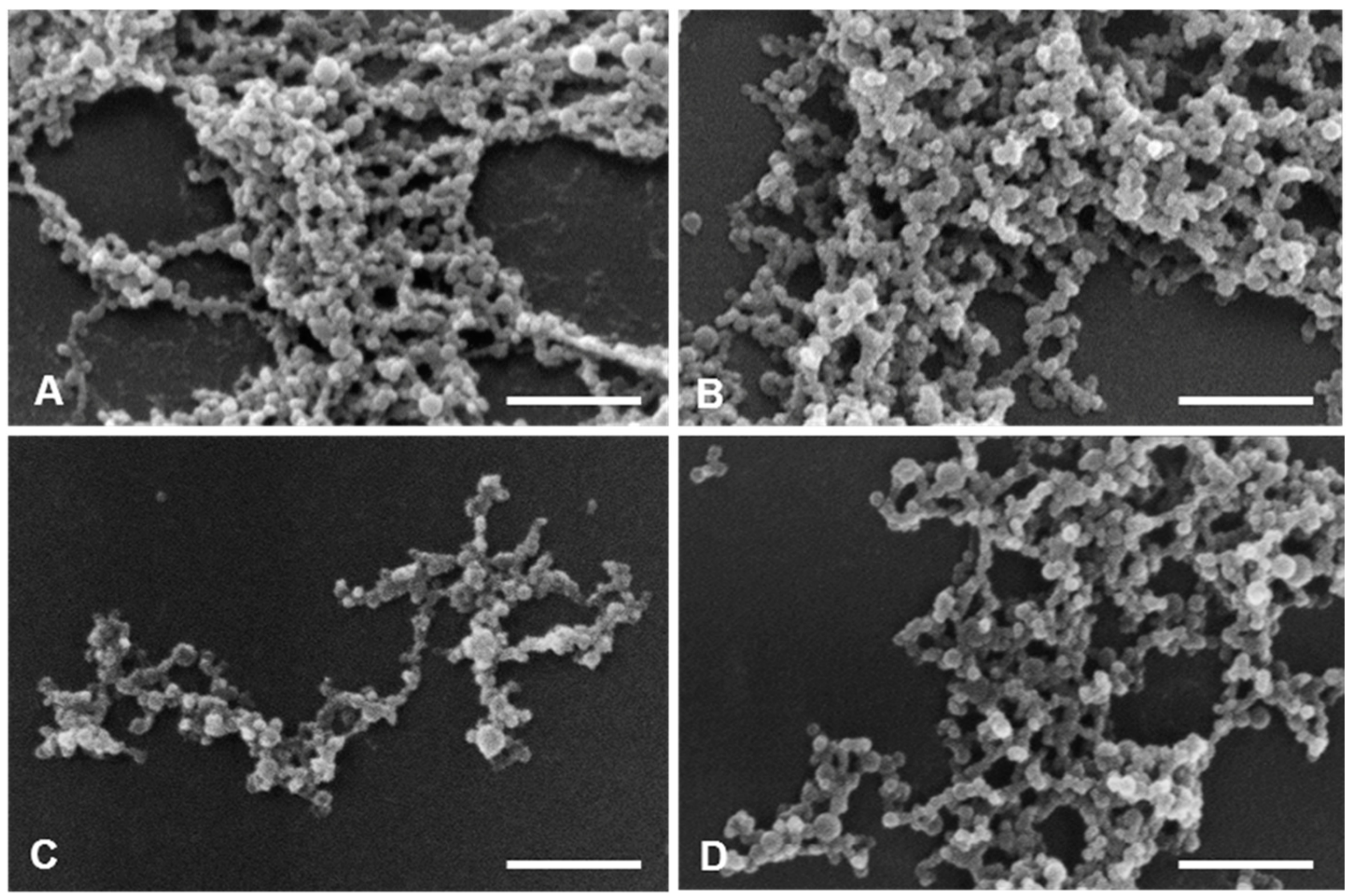 Cancers 11 01733 g011