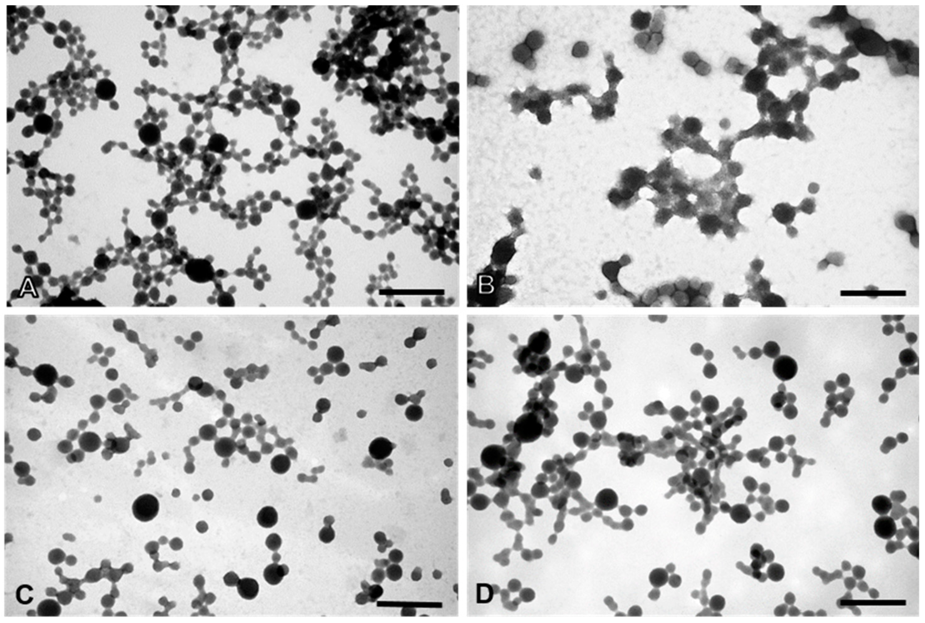 Cancers 11 01733 g012