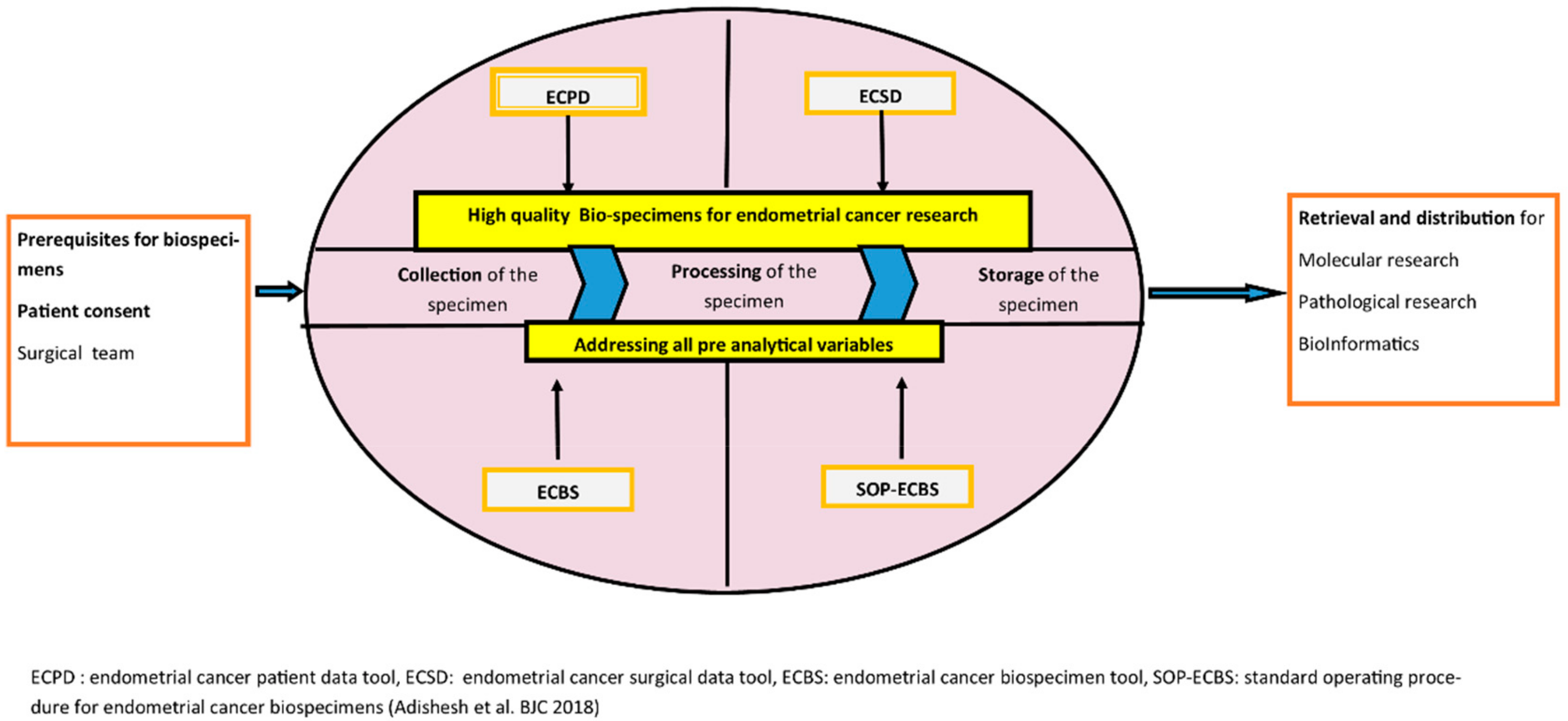 Cancers 11 01734 g003