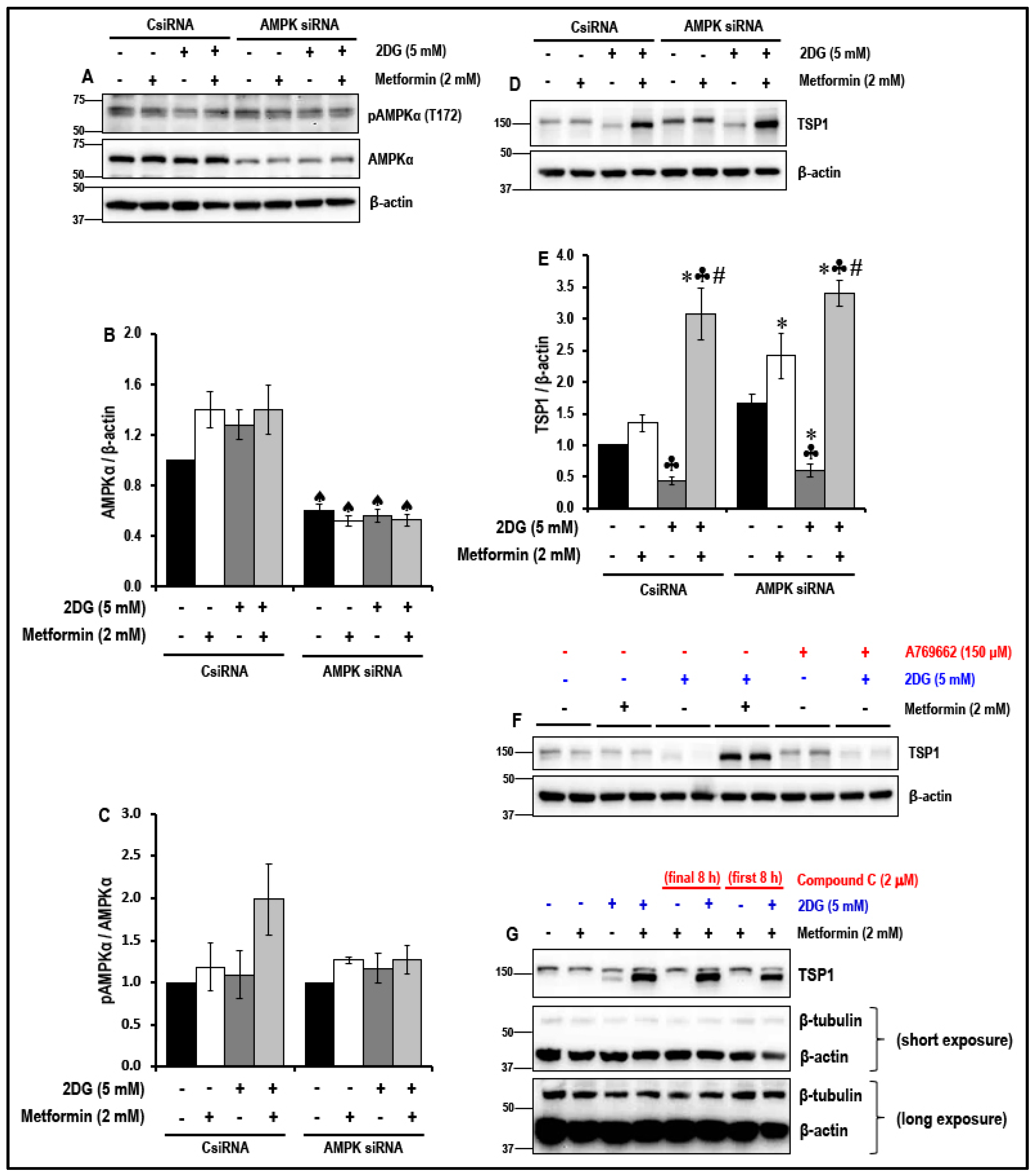 Cancers 11 01737 g005 Cancers 11 01737 g005