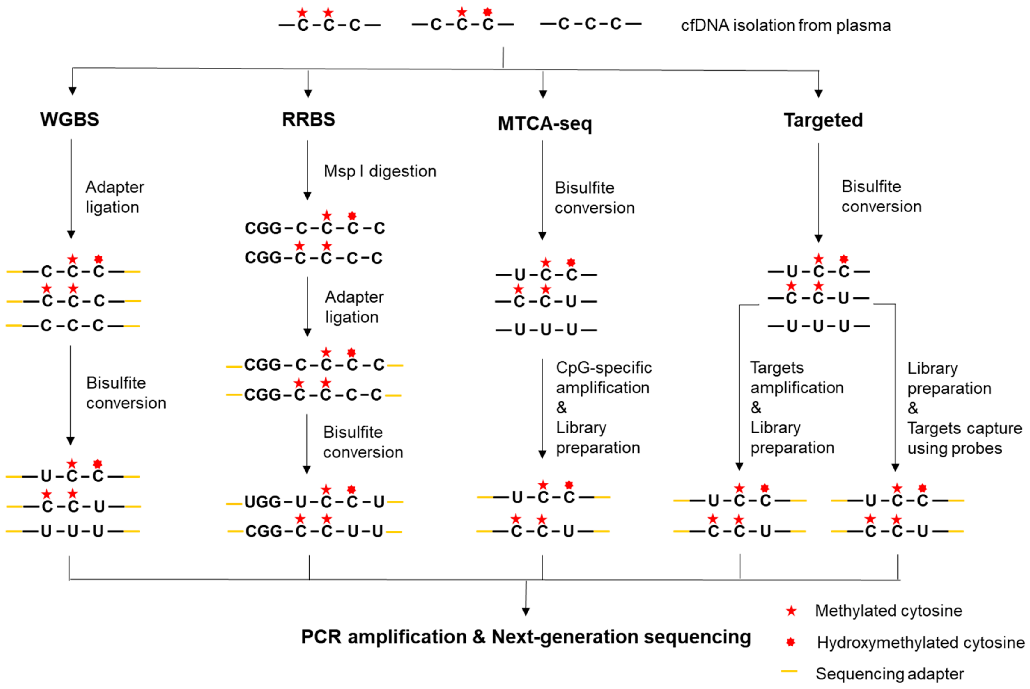 Cancers 11 01741 g002 Cancers 11 01741 g002