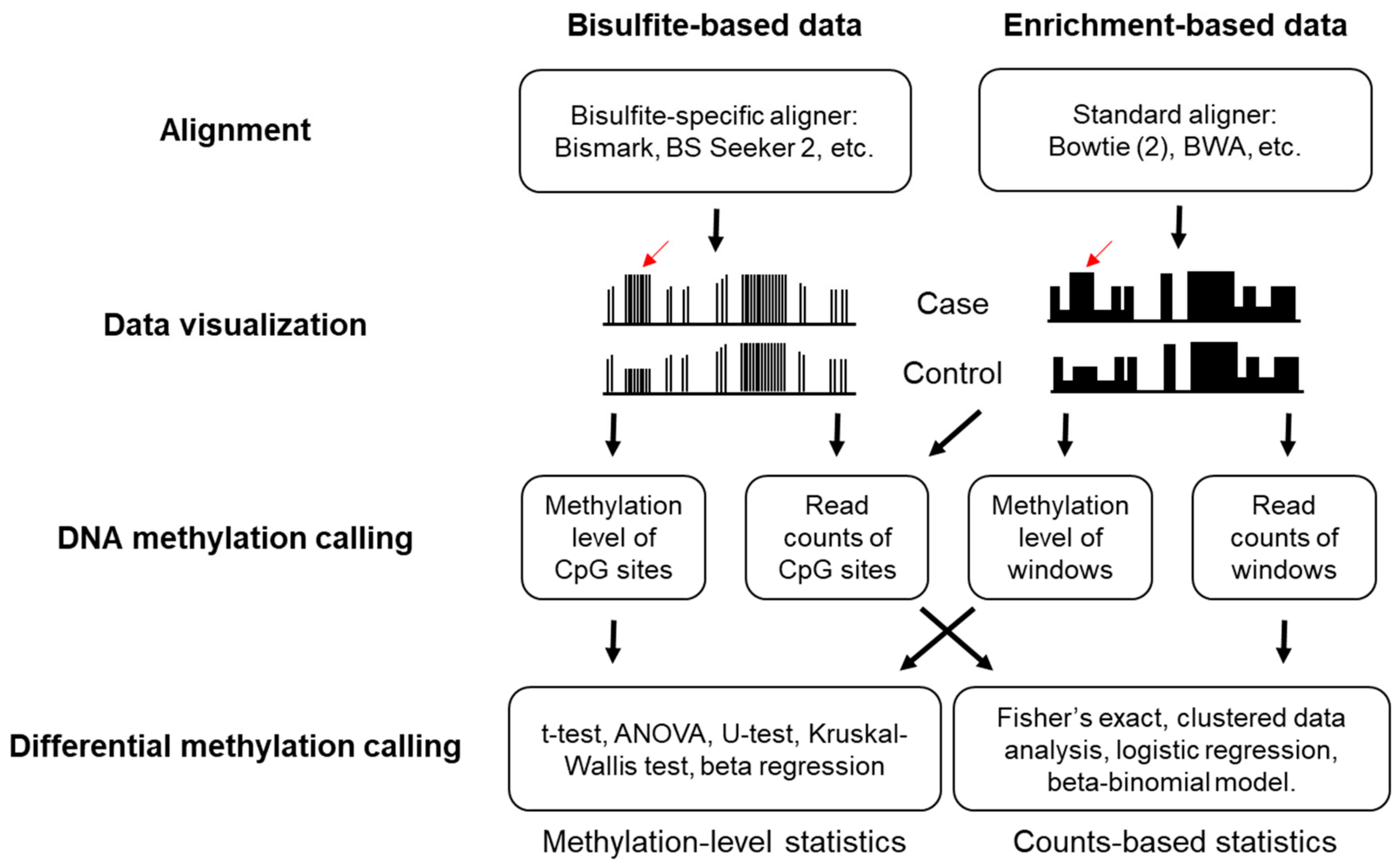 Cancers 11 01741 g004 Cancers 11 01741 g004