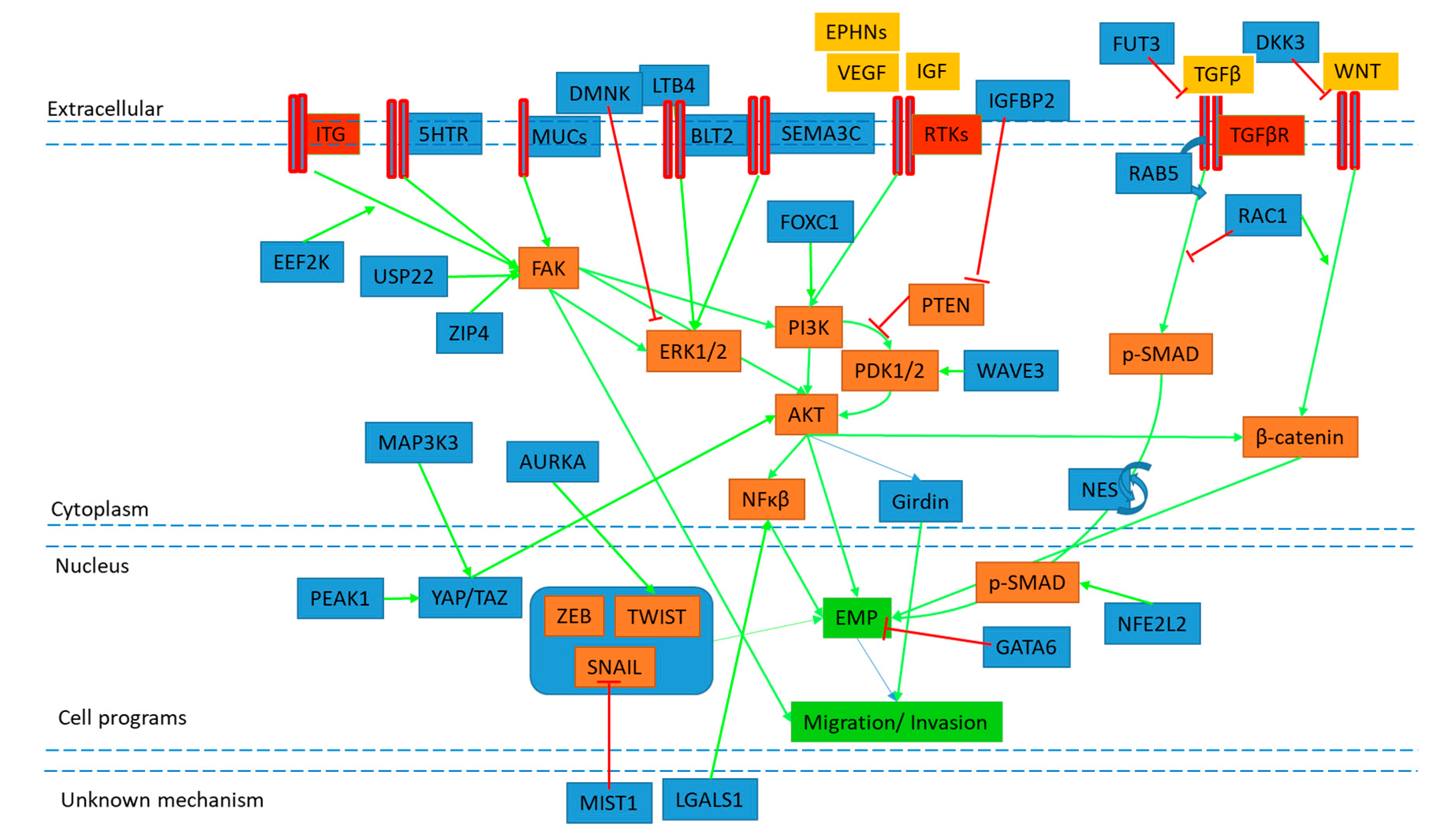 Cancers 11 01745 g002