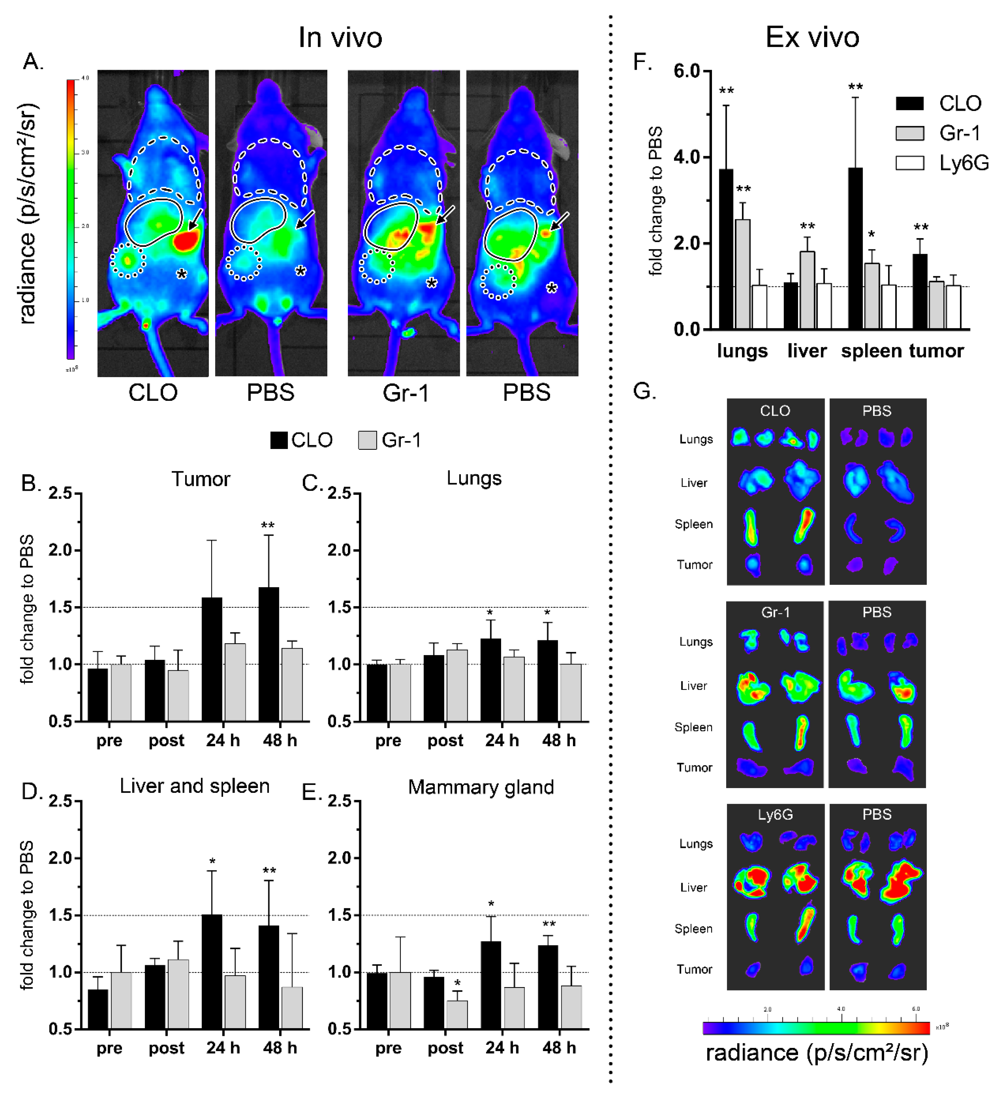Cancers 11 01752 g001