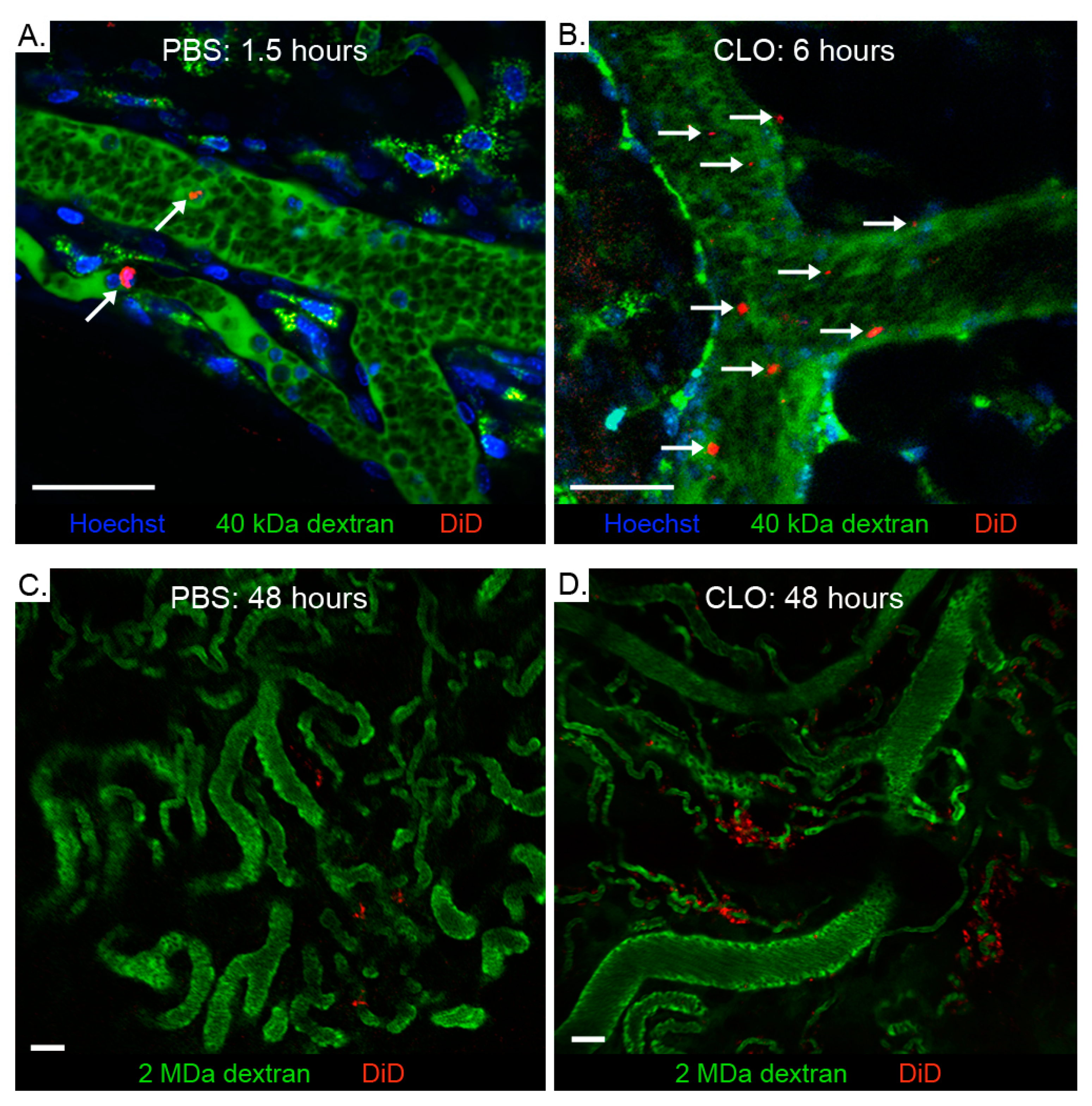 Cancers 11 01752 g002