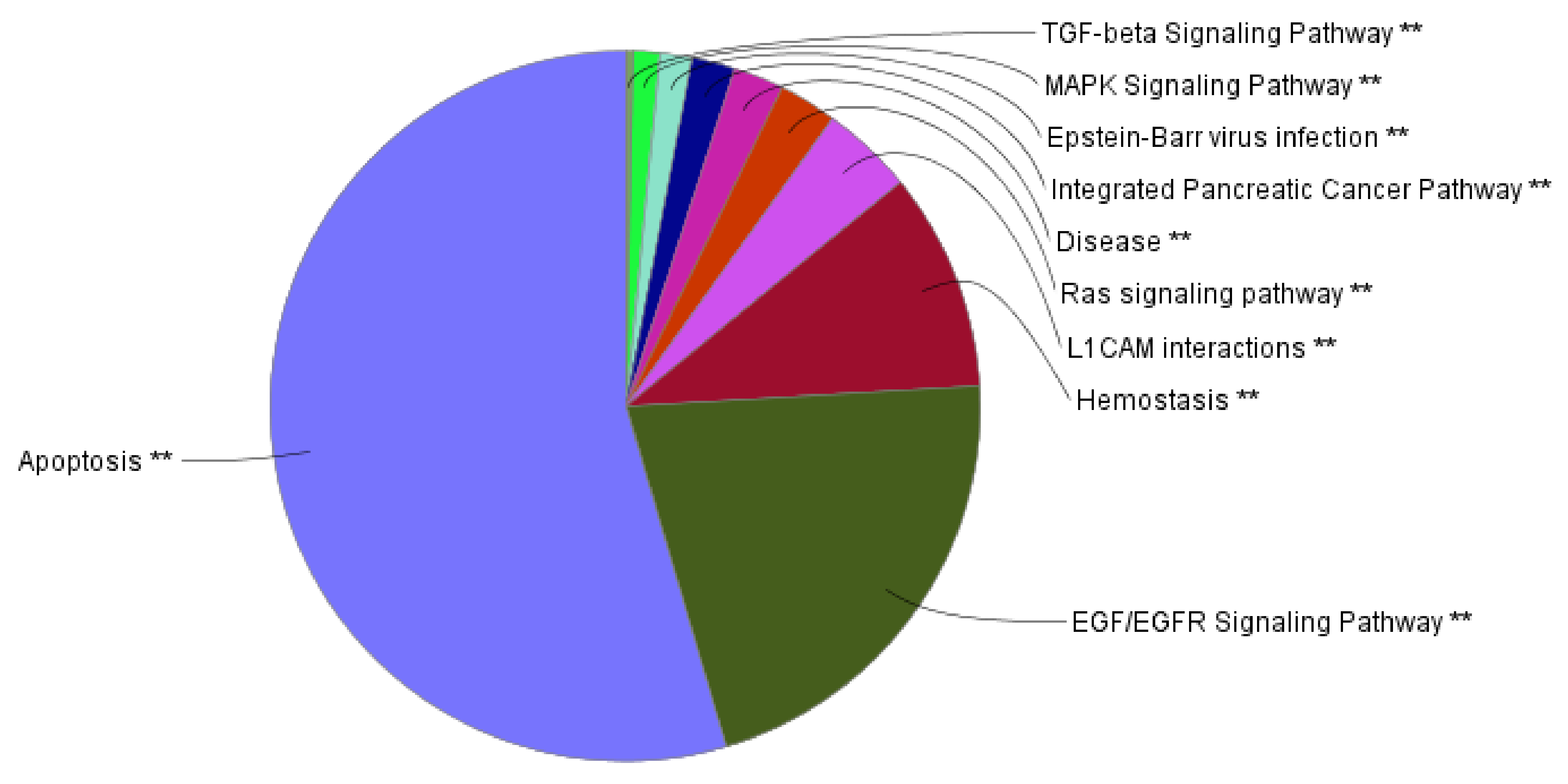 Larsen Freeman Pie Chart