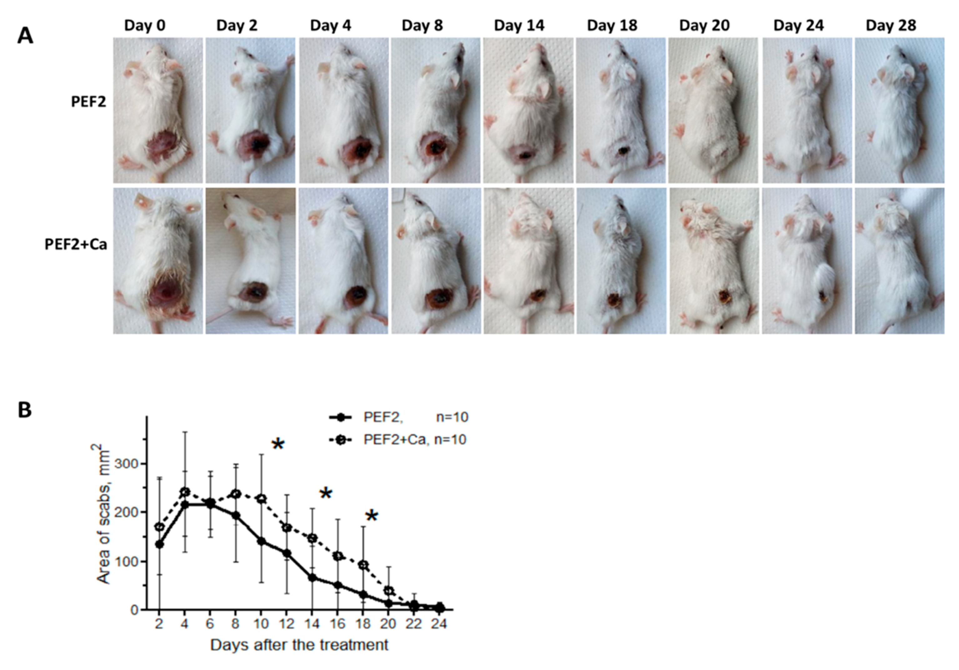Cancers 11 01763 g002 Cancers 11 01763 g002