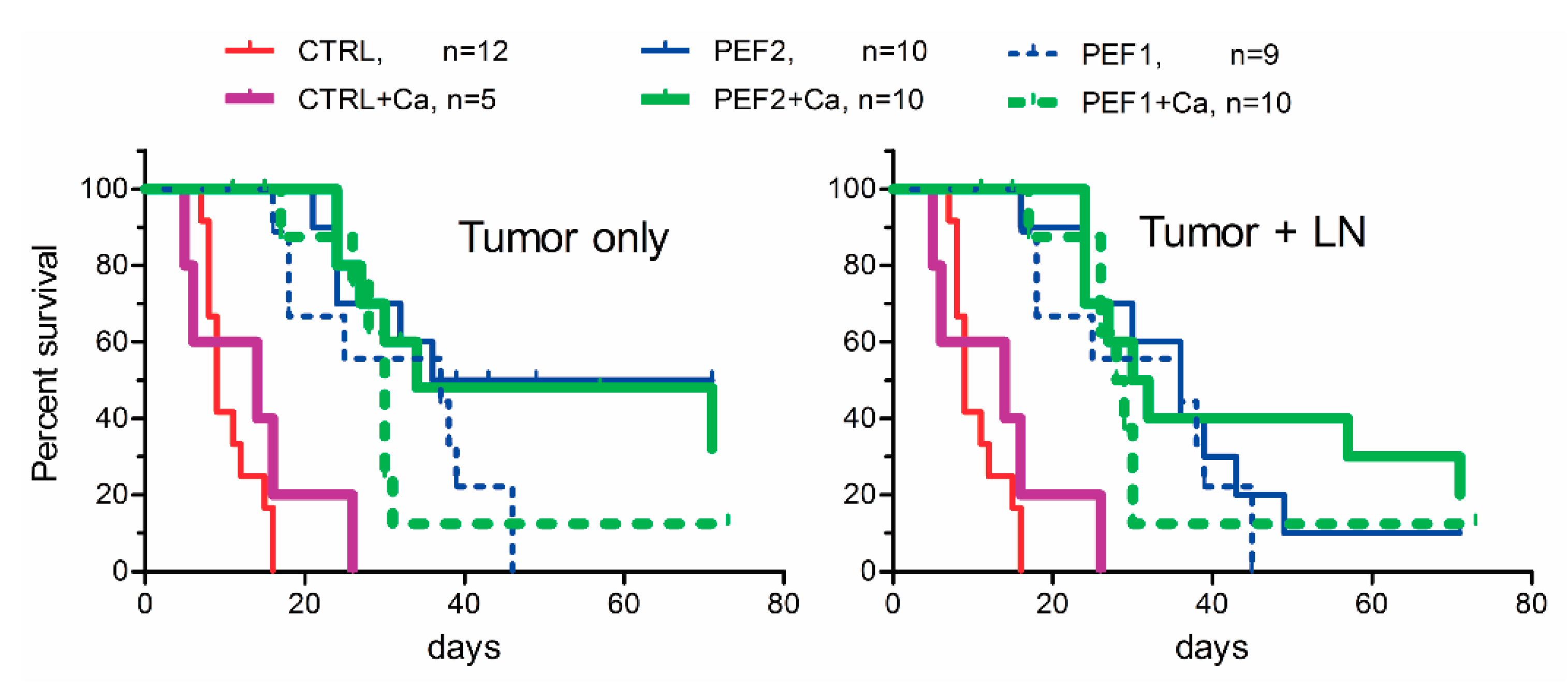 Cancers 11 01763 g004 Cancers 11 01763 g004