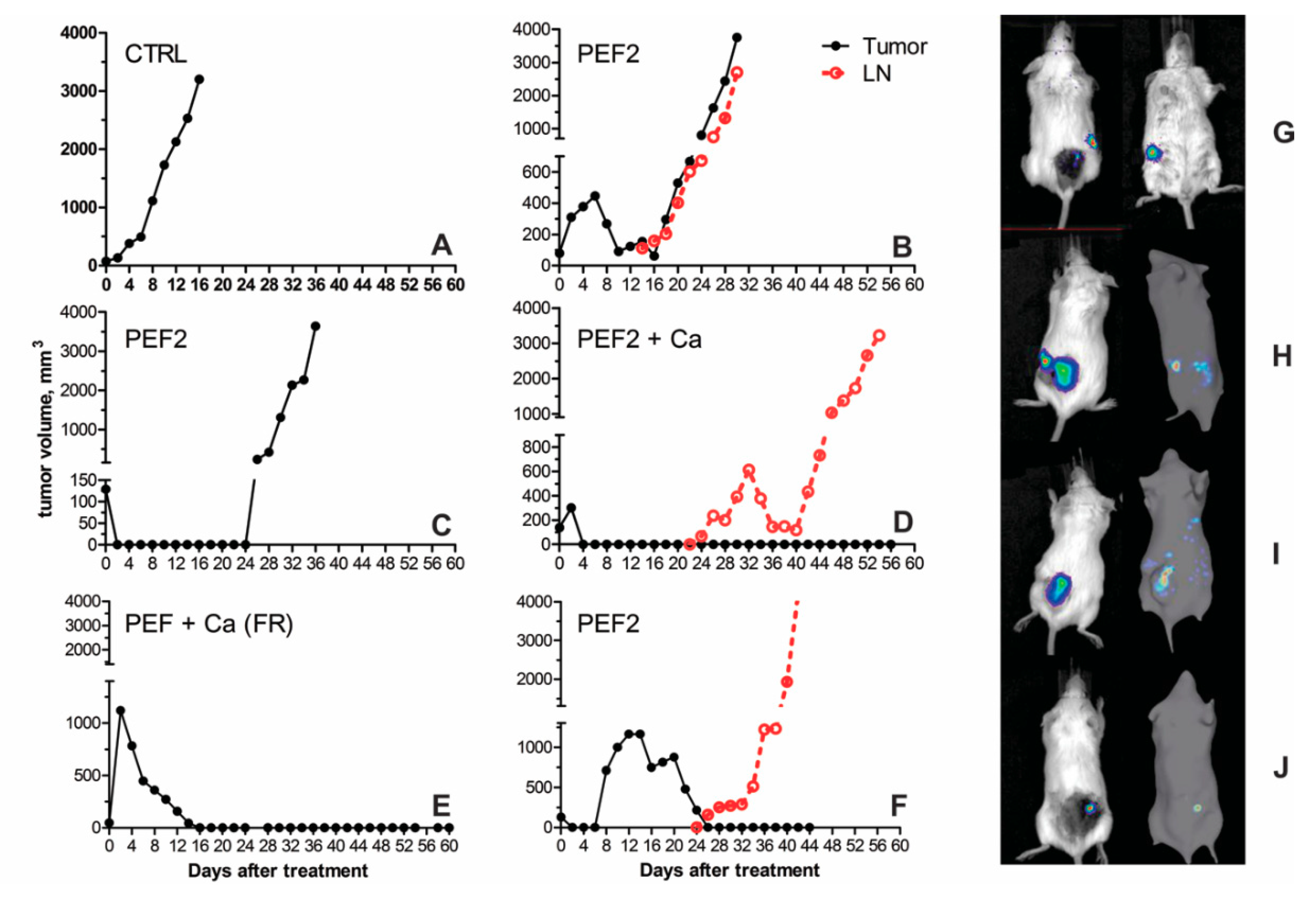 Cancers 11 01763 g005 Cancers 11 01763 g005