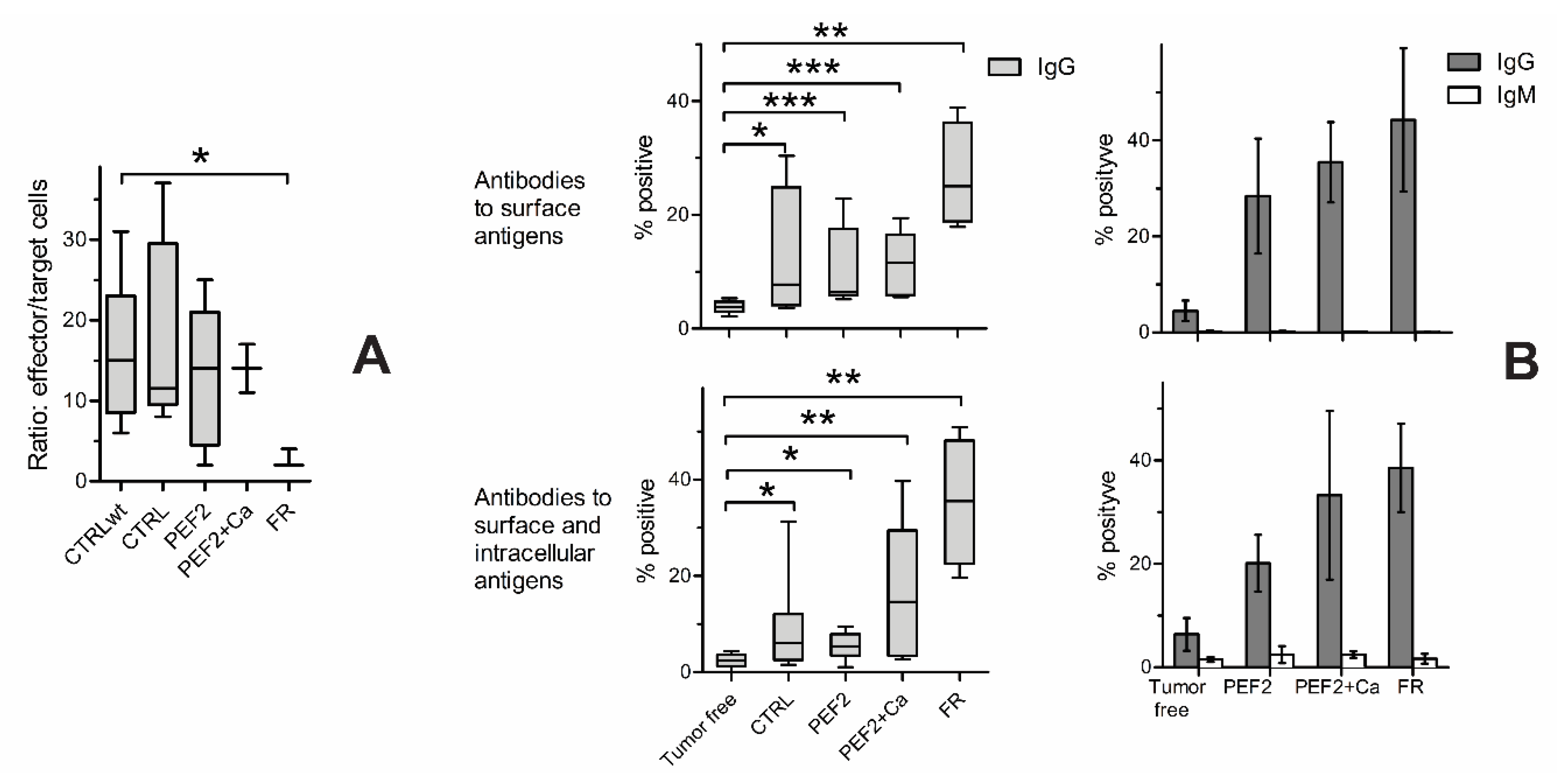 Cancers 11 01763 g007 Cancers 11 01763 g007