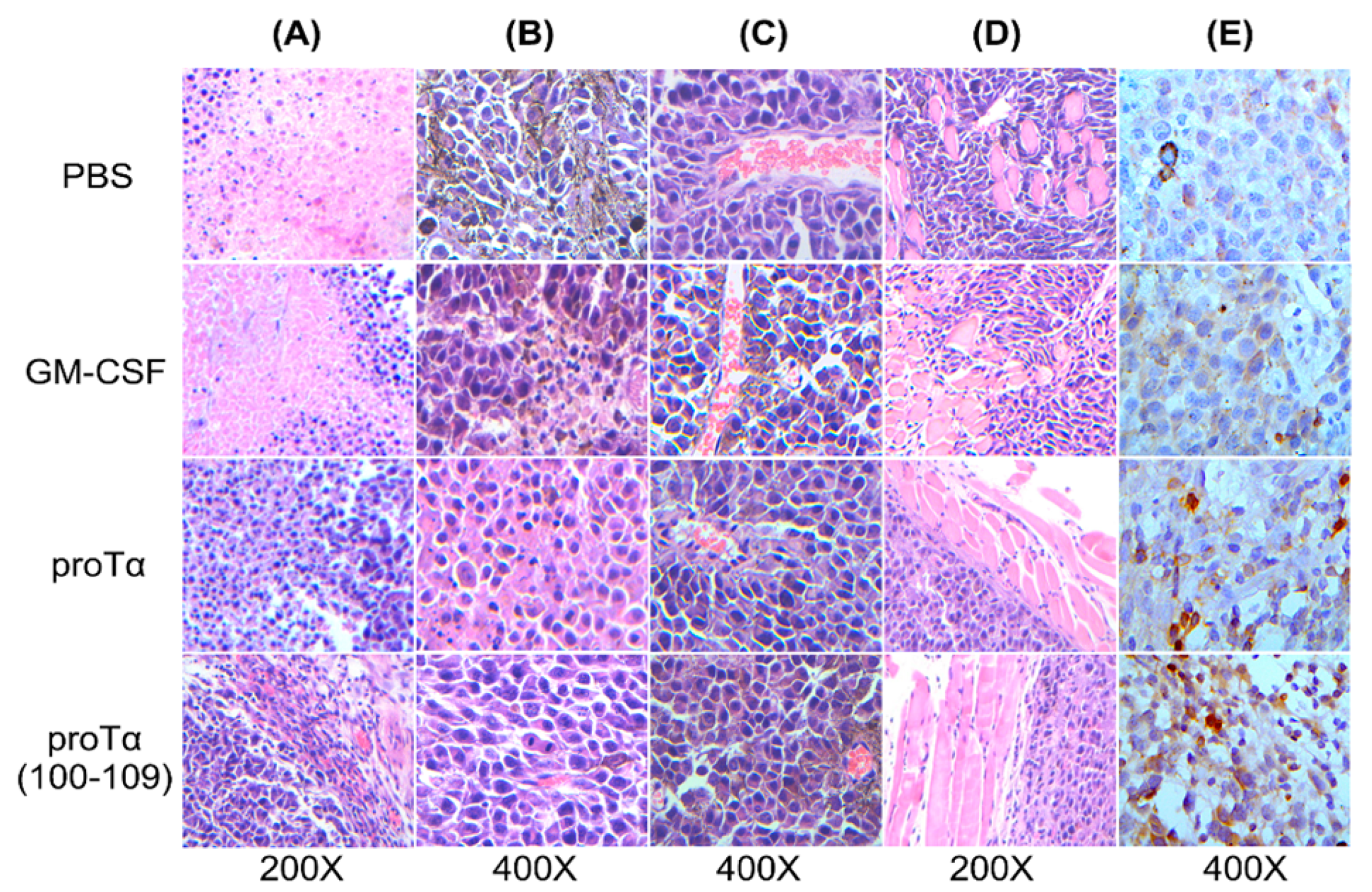 Cancers 11 01764 g003 Cancers 11 01764 g003