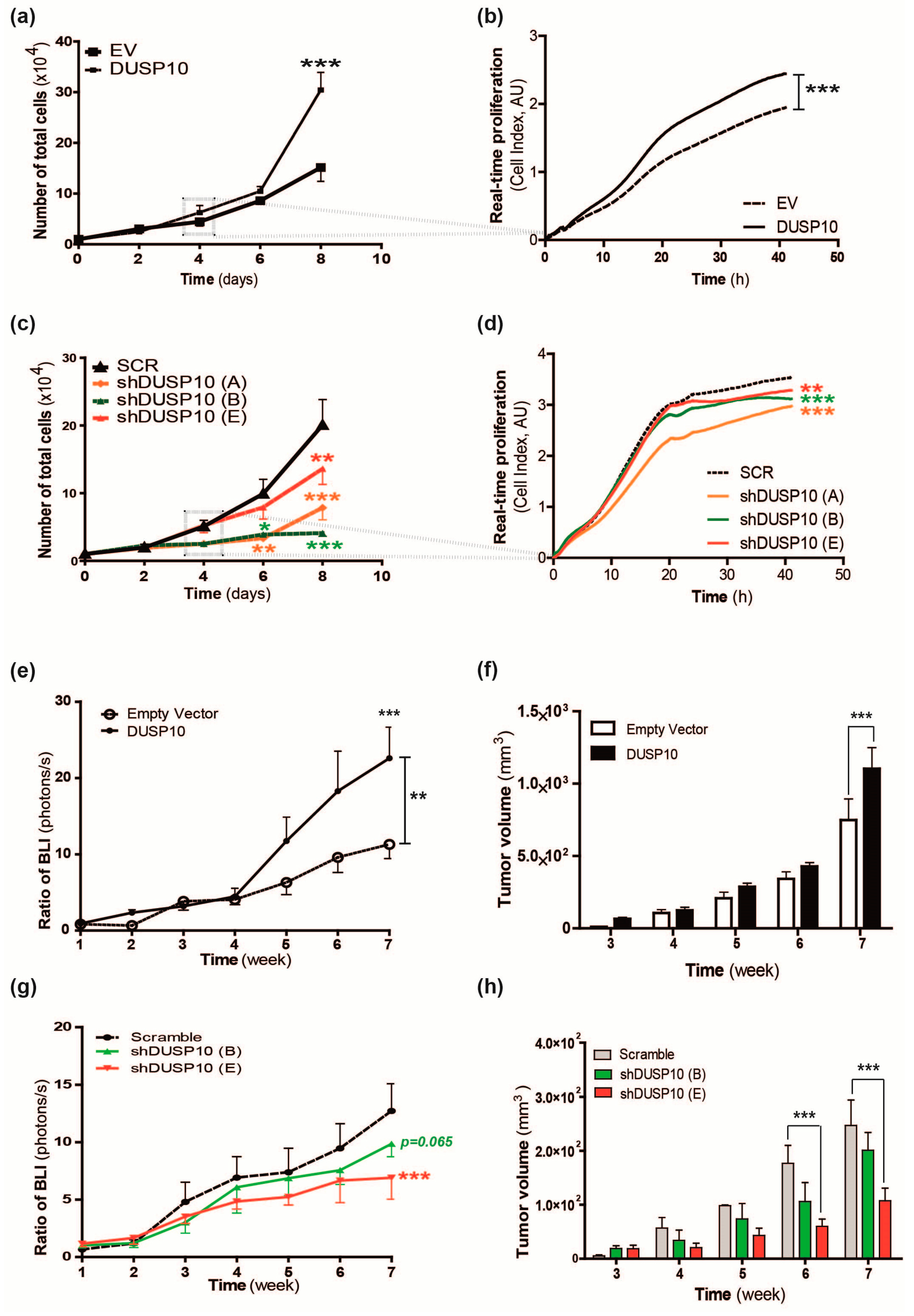 Cancers 11 01767 g001 Cancers 11 01767 g001
