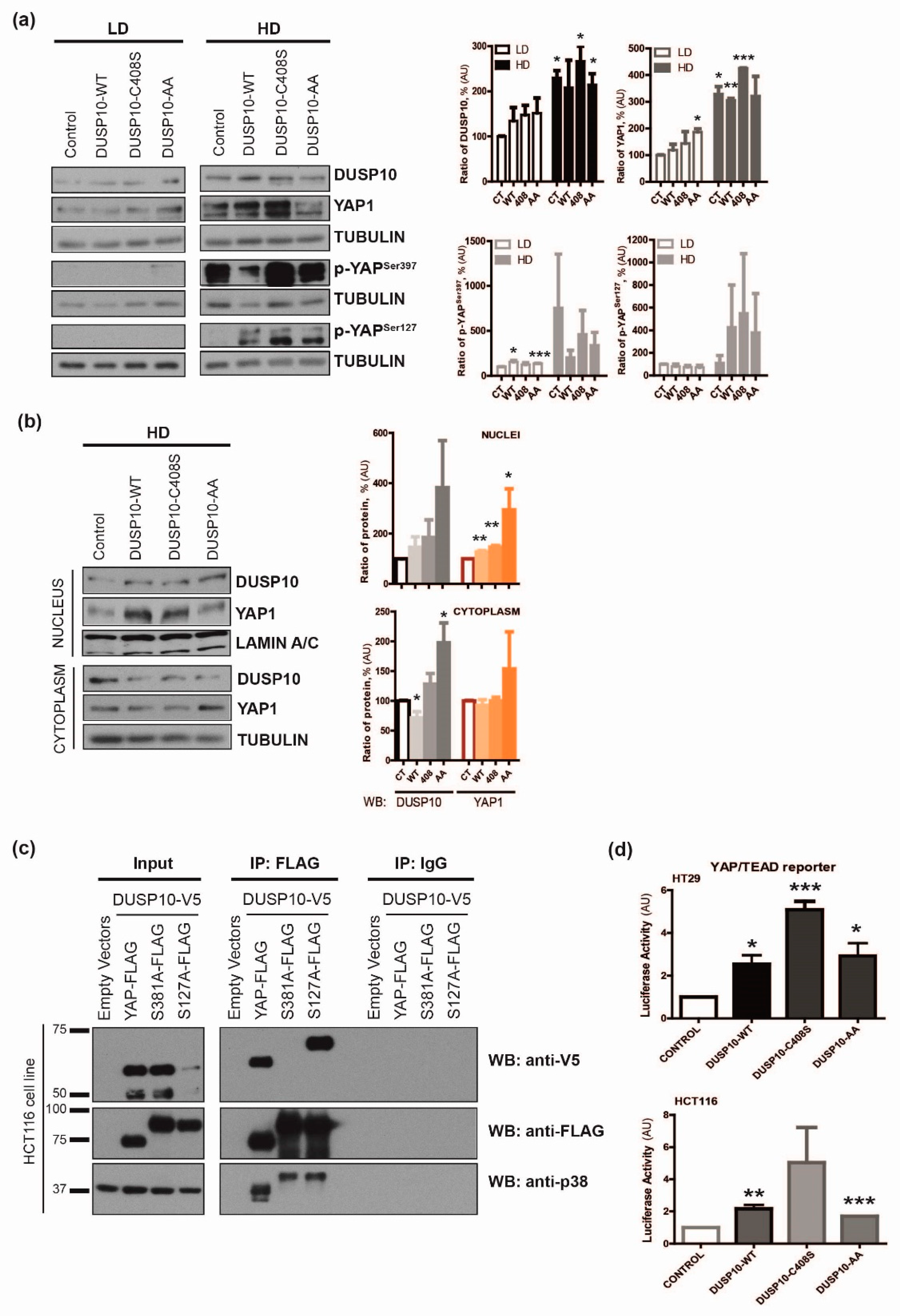 Cancers 11 01767 g004 Cancers 11 01767 g004