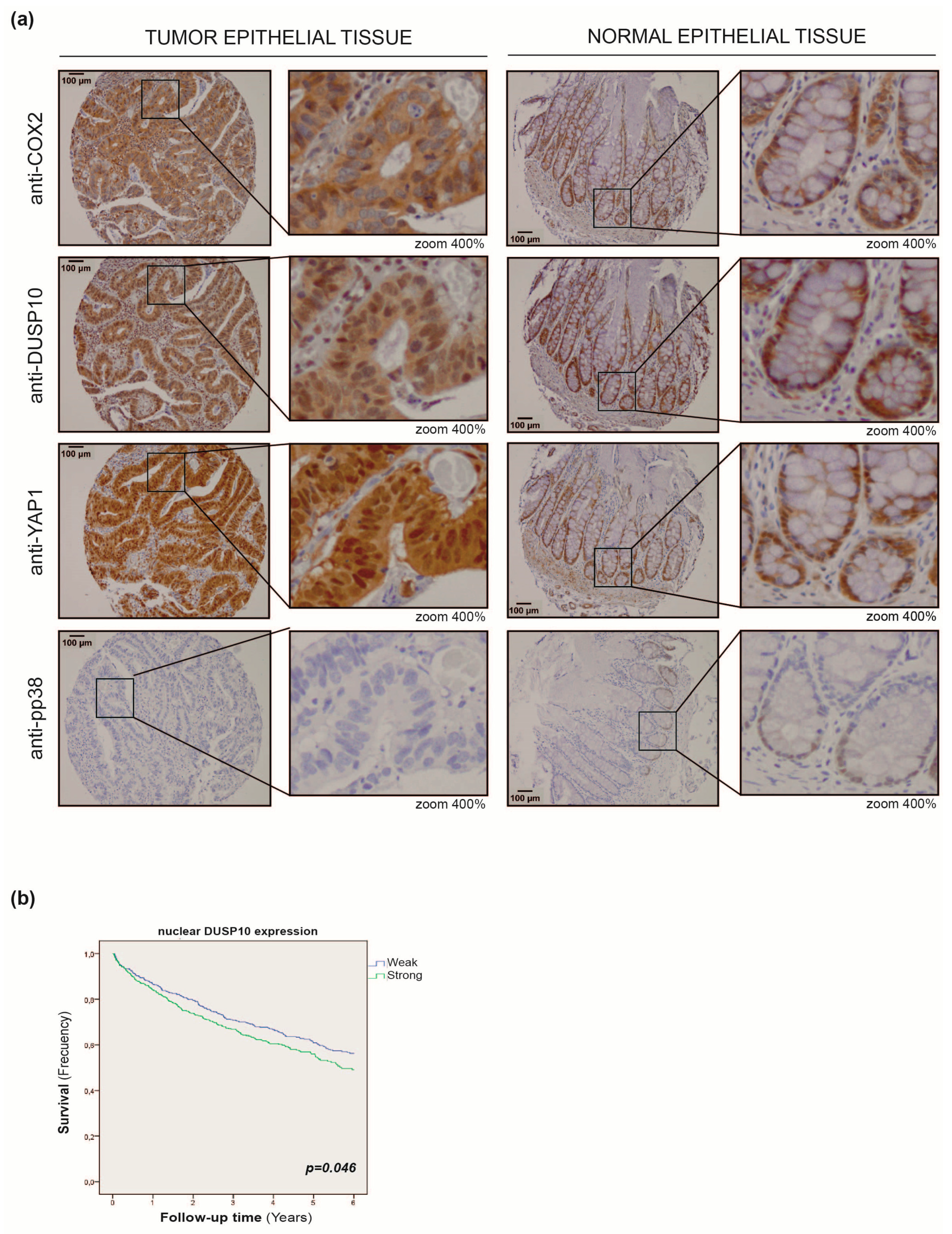 Cancers 11 01767 g006 Cancers 11 01767 g006