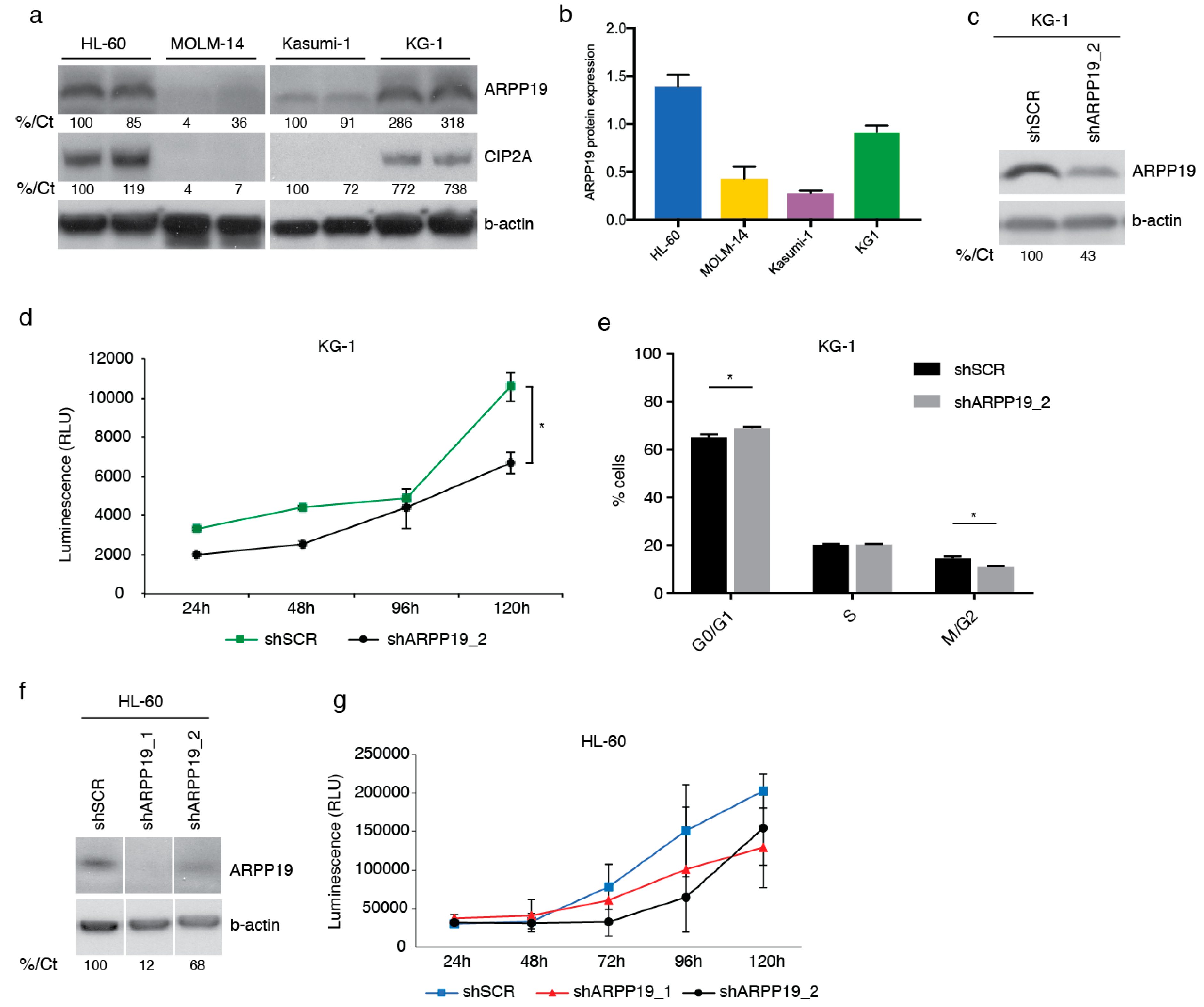 Cancers 11 01774 g002