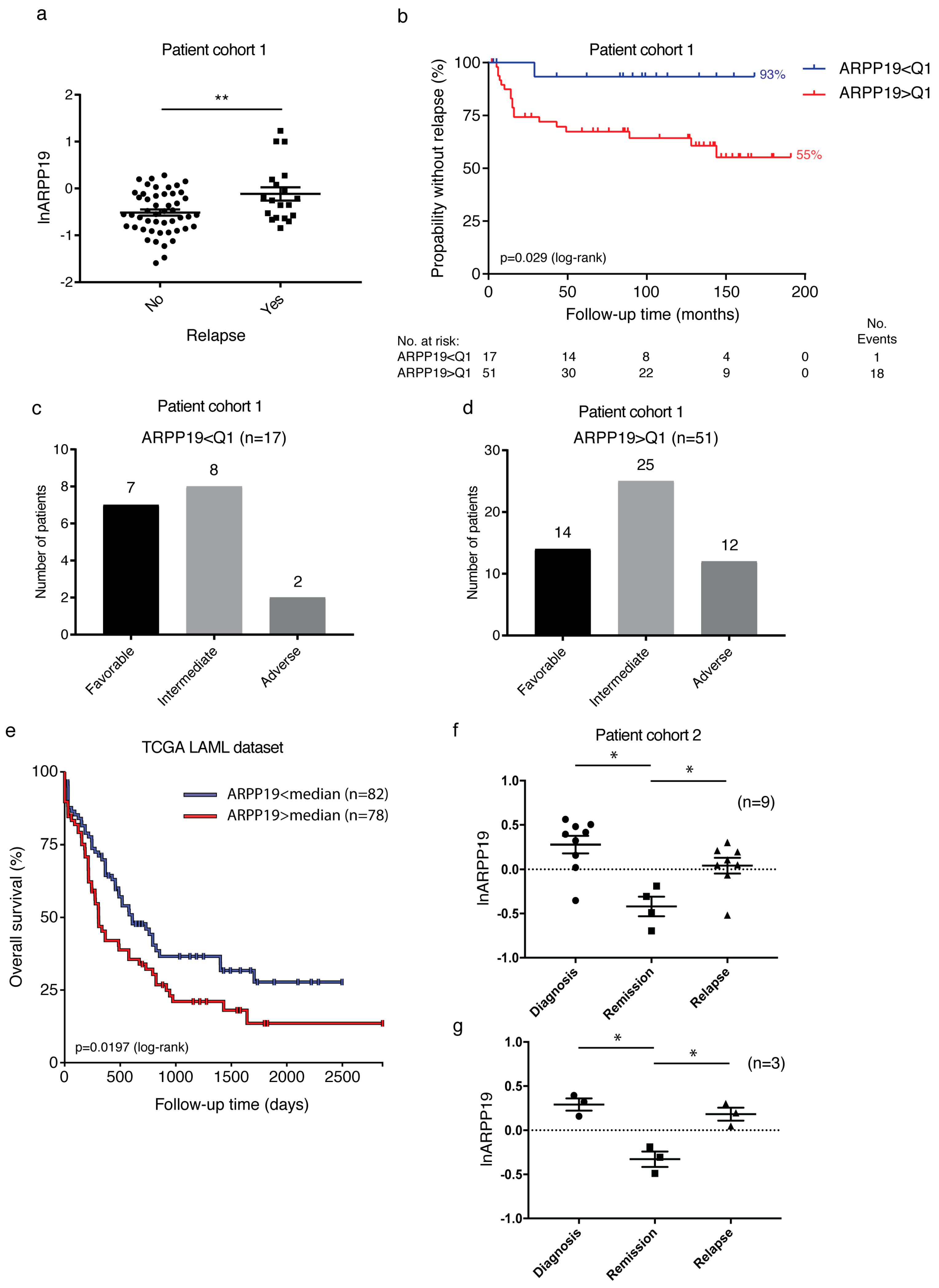 Cancers 11 01774 g004