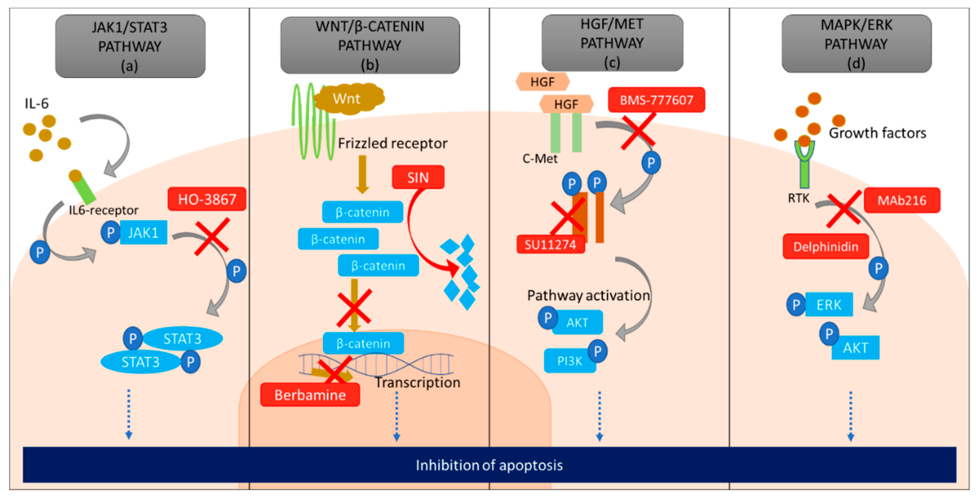 クライシス コア -ファイナルファンタジーVII- リユニオン Switch版 Therapeutic Inducers of Apoptosis in Ovarian Cancer