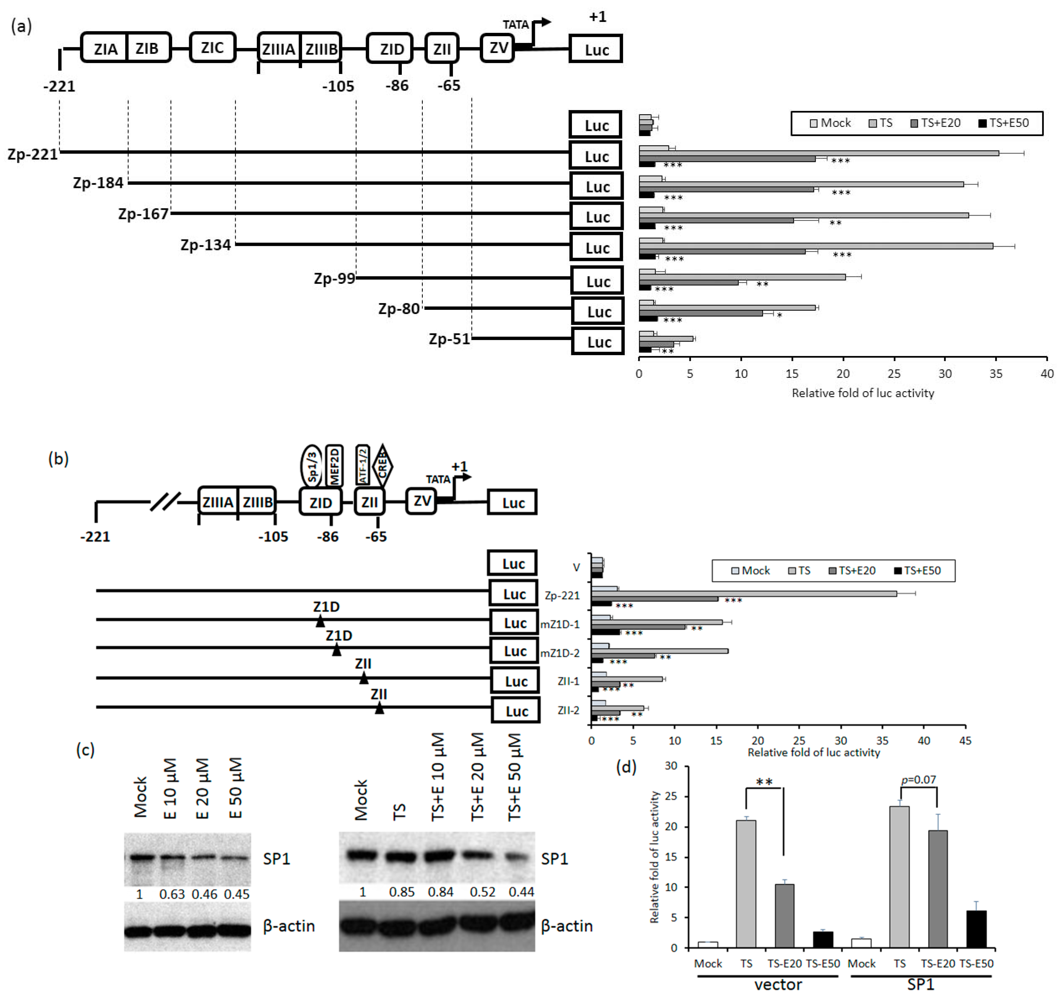 Cancers 11 01795 g006 Cancers 11 01795 g006