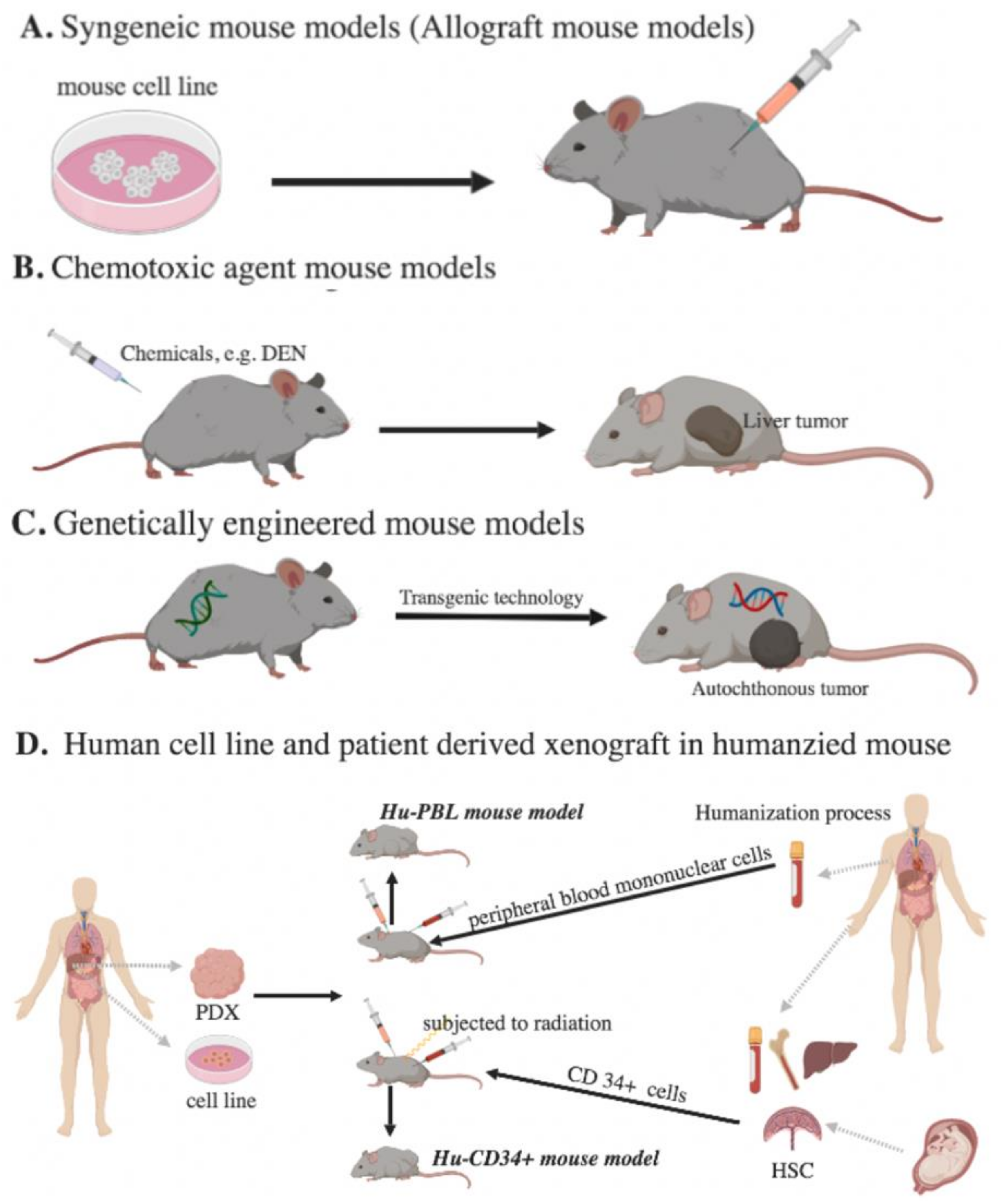 Mice cells