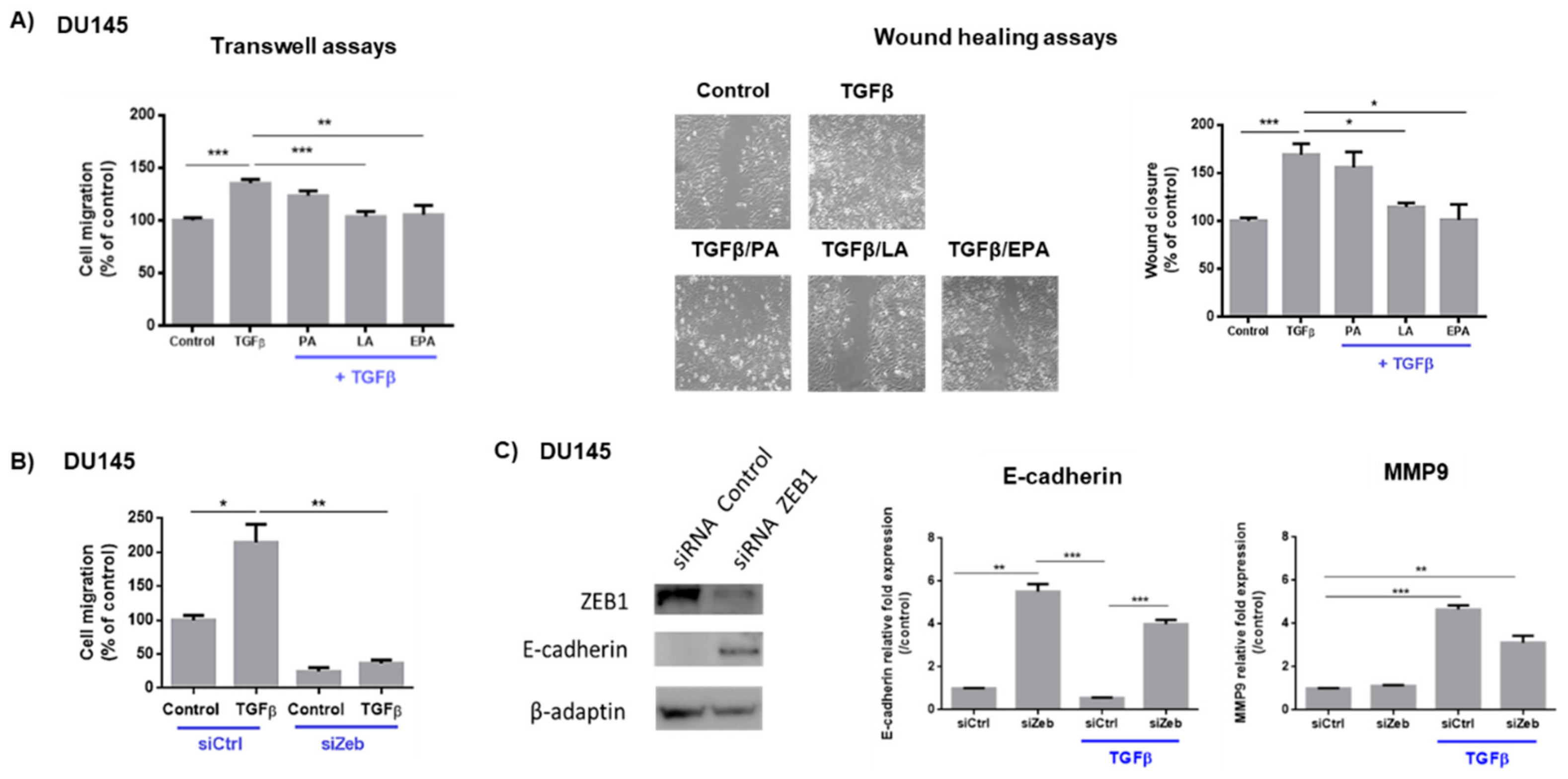Cancers 11 01814 g001