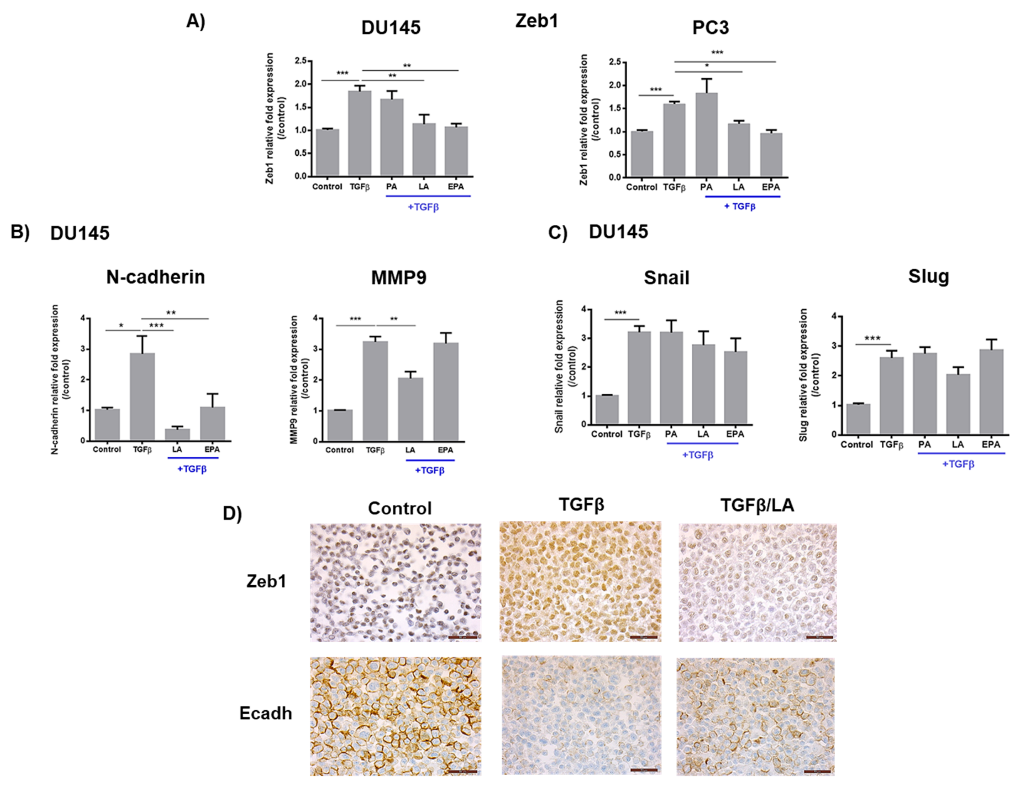 Cancers 11 01814 g002