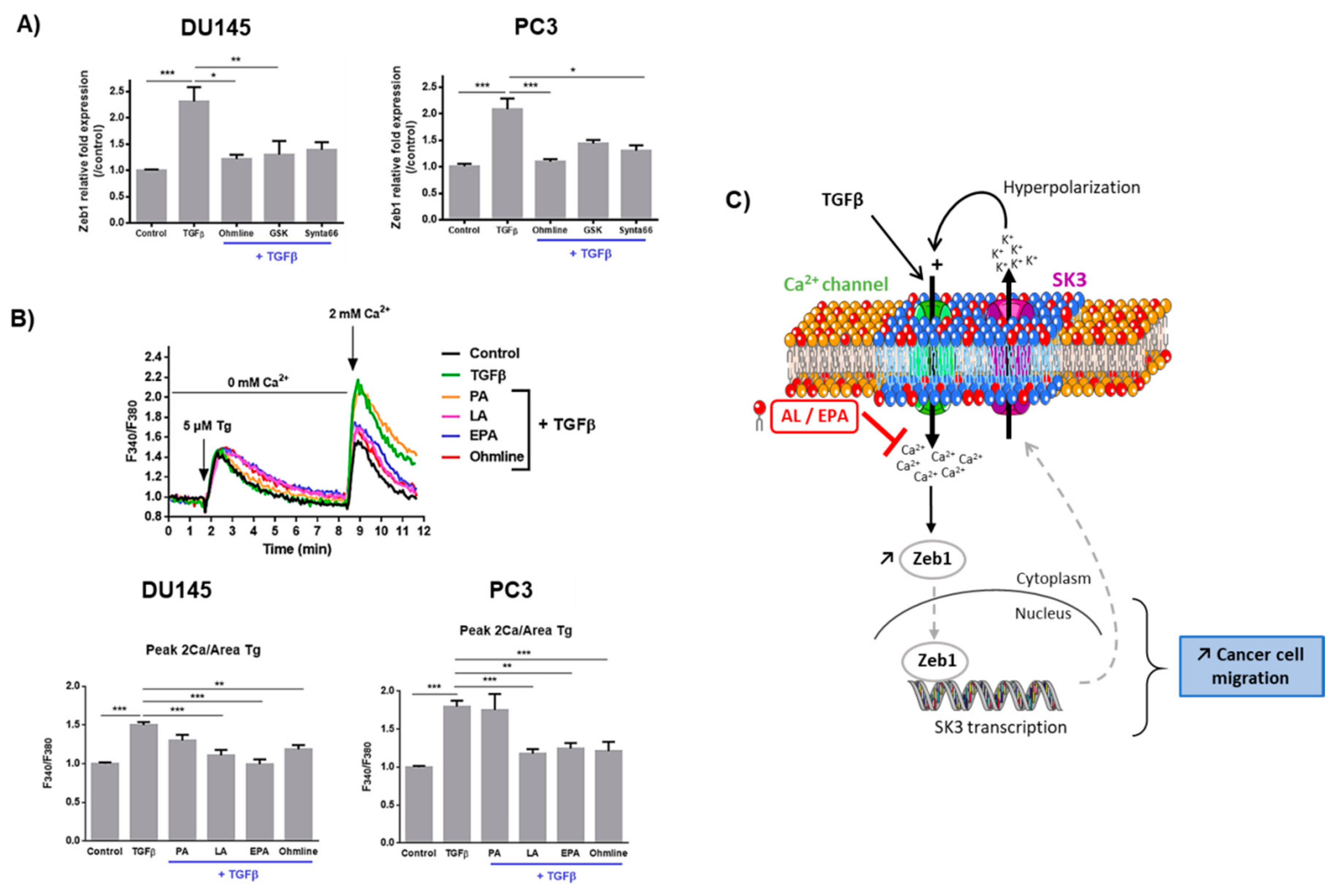 Cancers 11 01814 g004