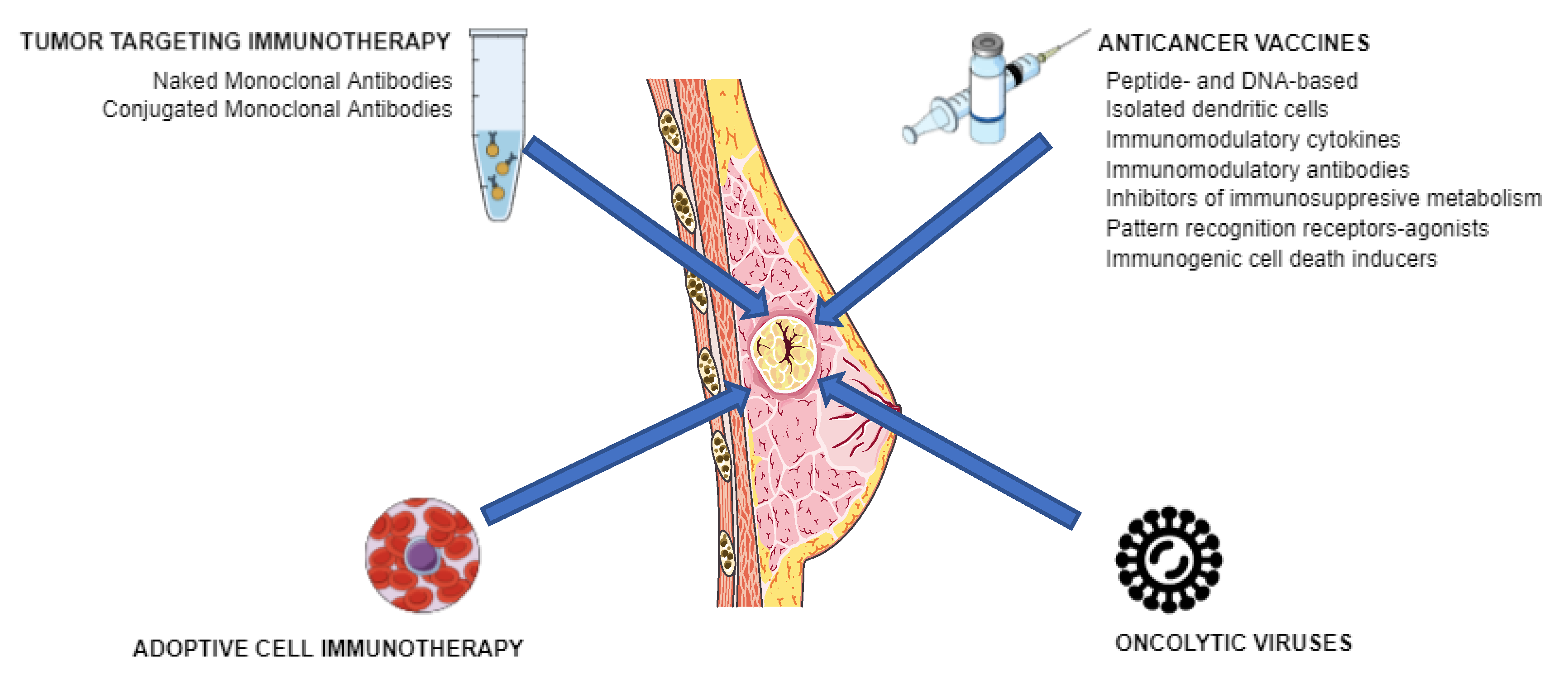 Cancers 11 01822 g002 Cancers 11 01822 g002