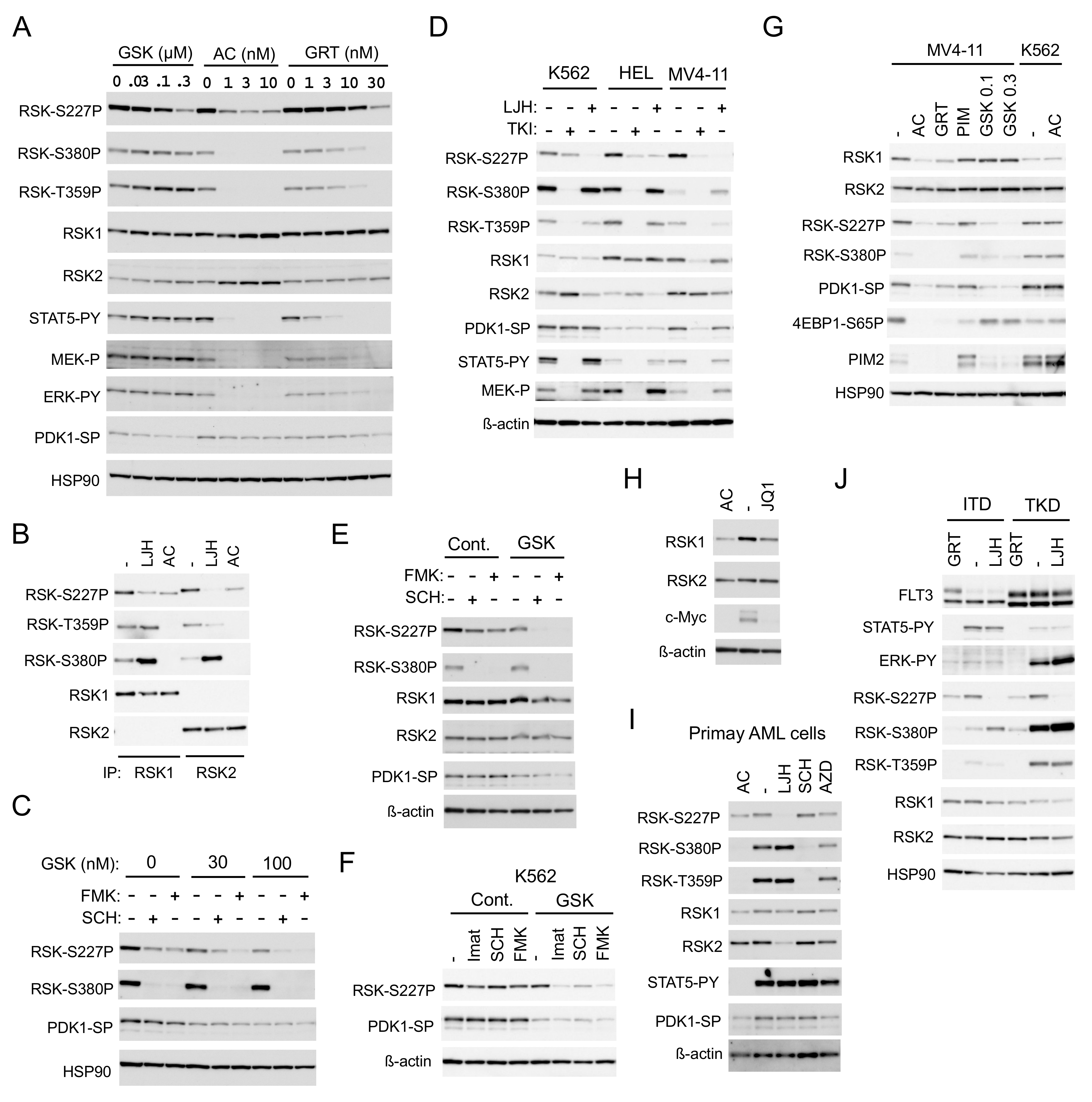 Cancers 11 01827 g003 Cancers 11 01827 g003