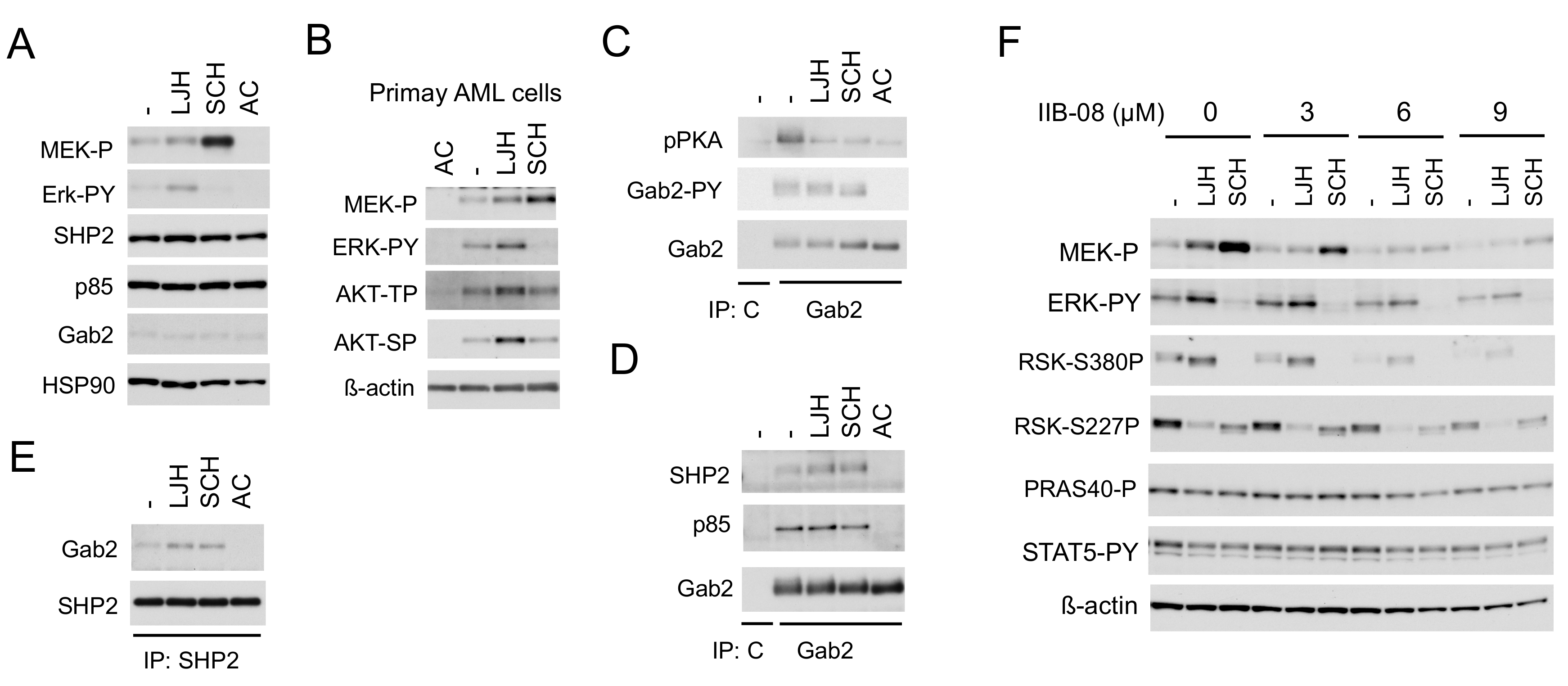 Cancers 11 01827 g004 Cancers 11 01827 g004