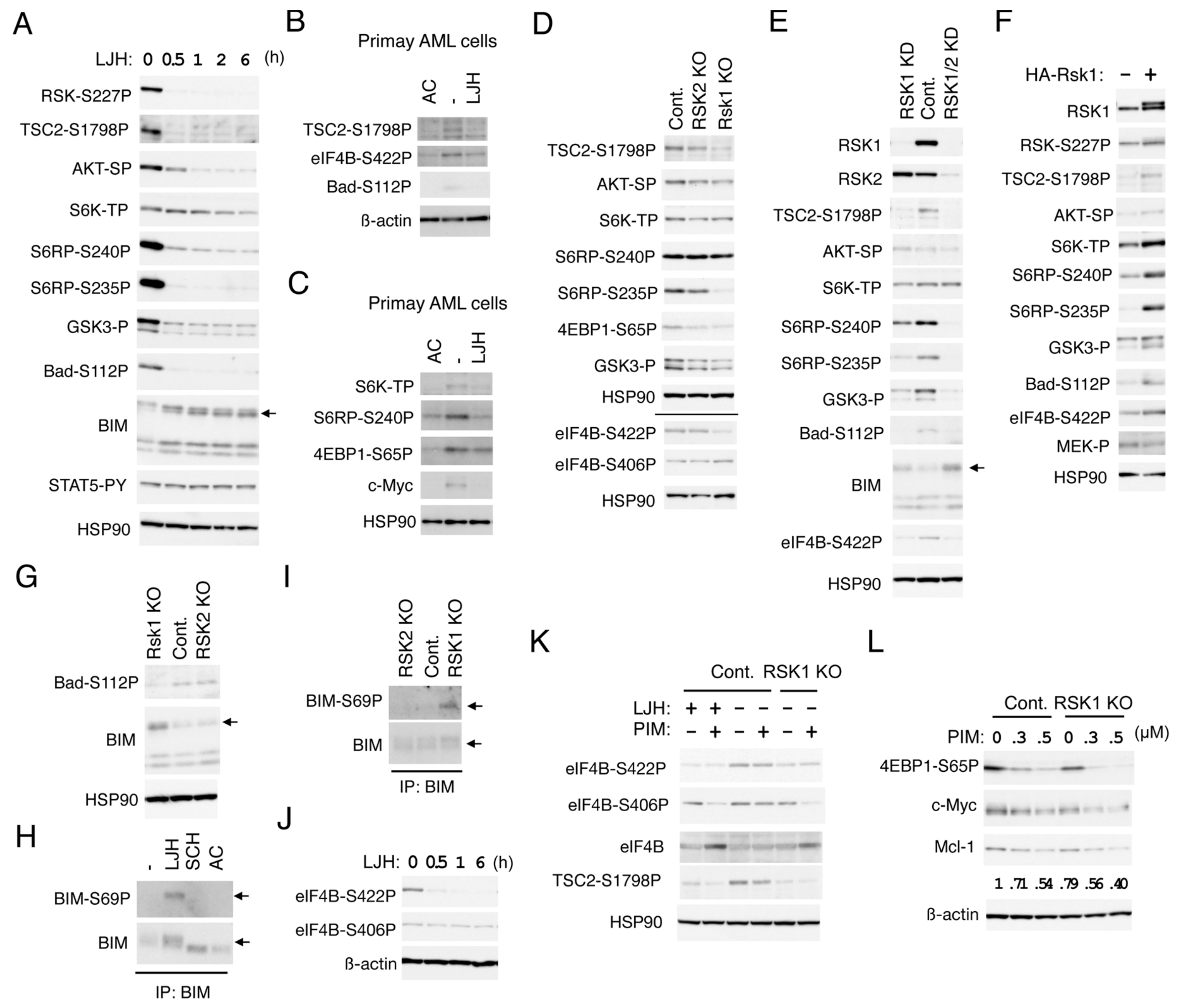Cancers 11 01827 g005 Cancers 11 01827 g005