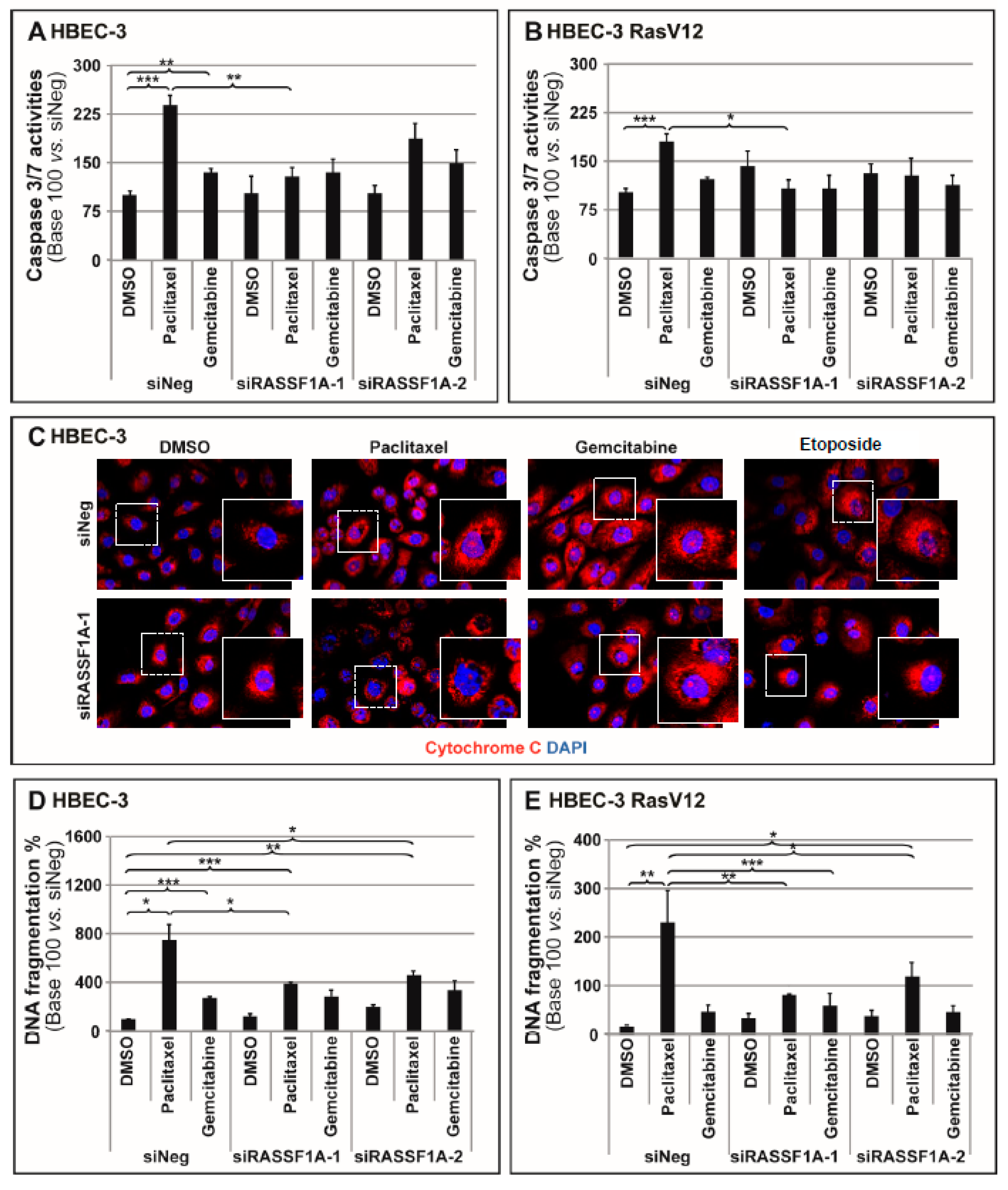 Cancers 11 01835 g001