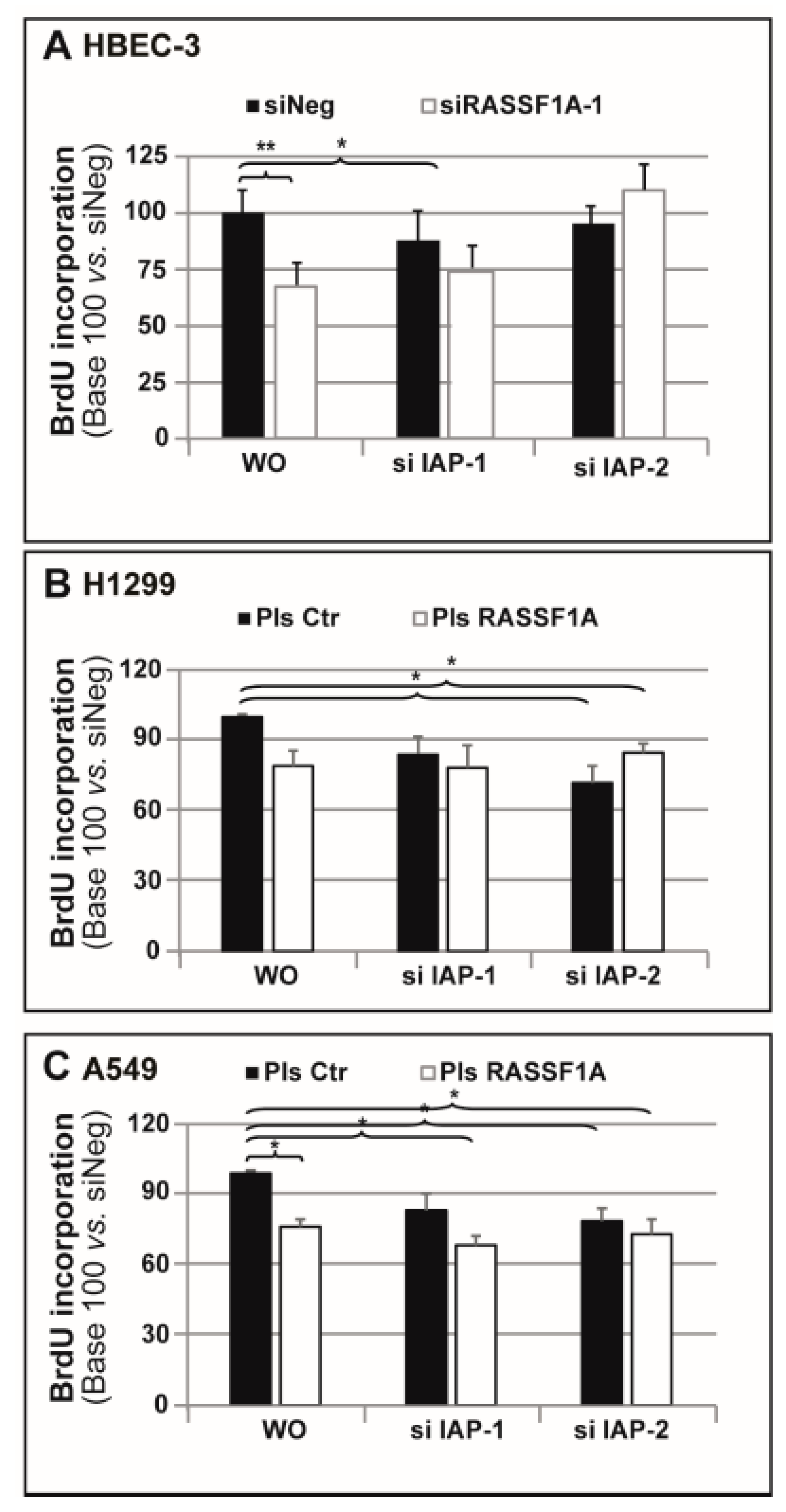Cancers 11 01835 g004