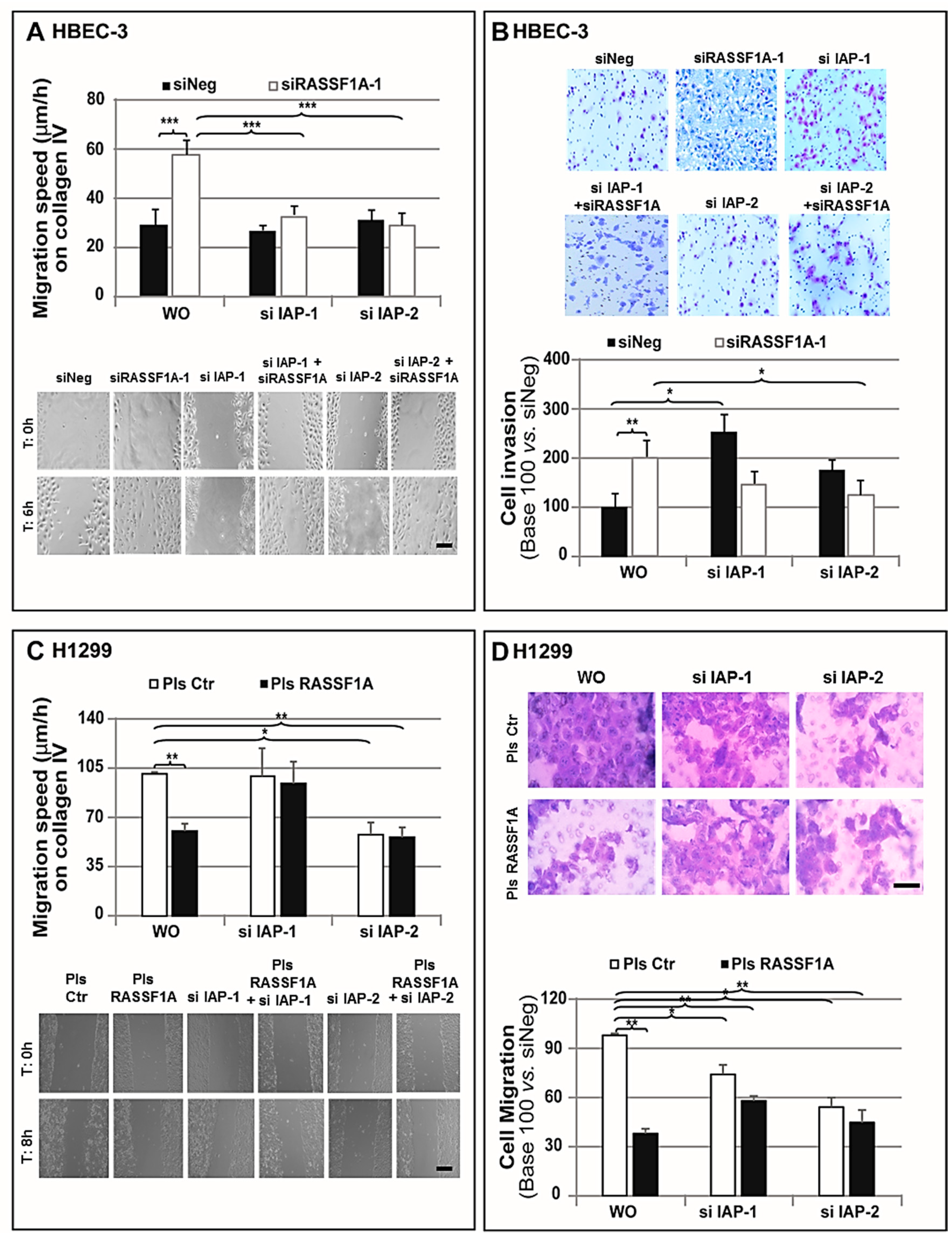 Cancers 11 01835 g005