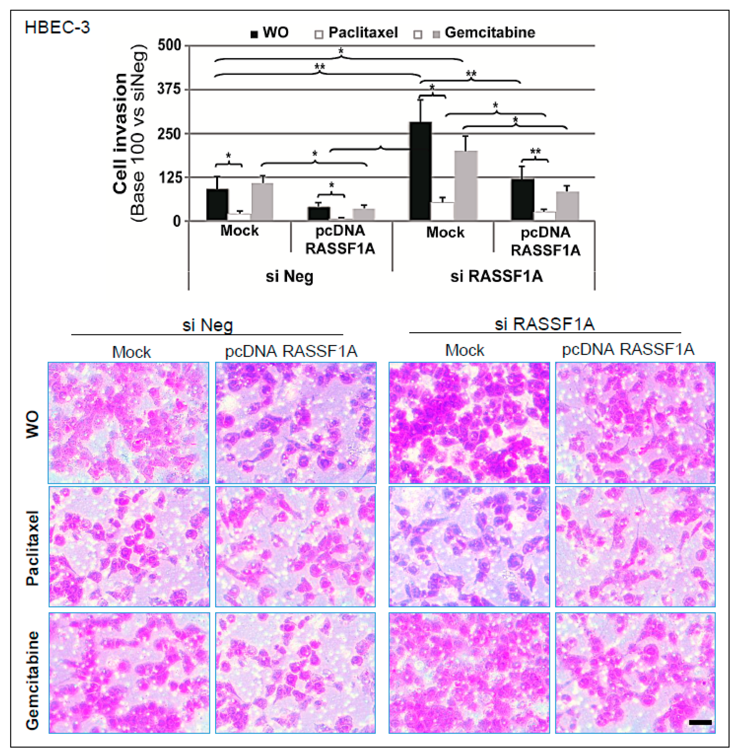 Cancers 11 01835 g006