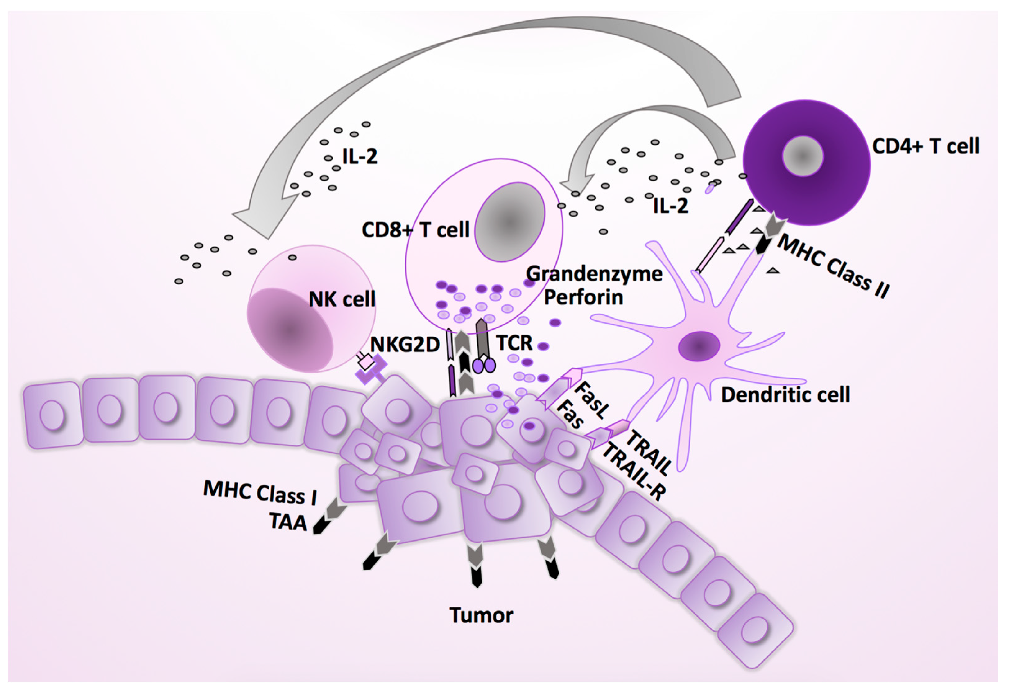 Cancers 11 01842 g002 Cancers 11 01842 g002