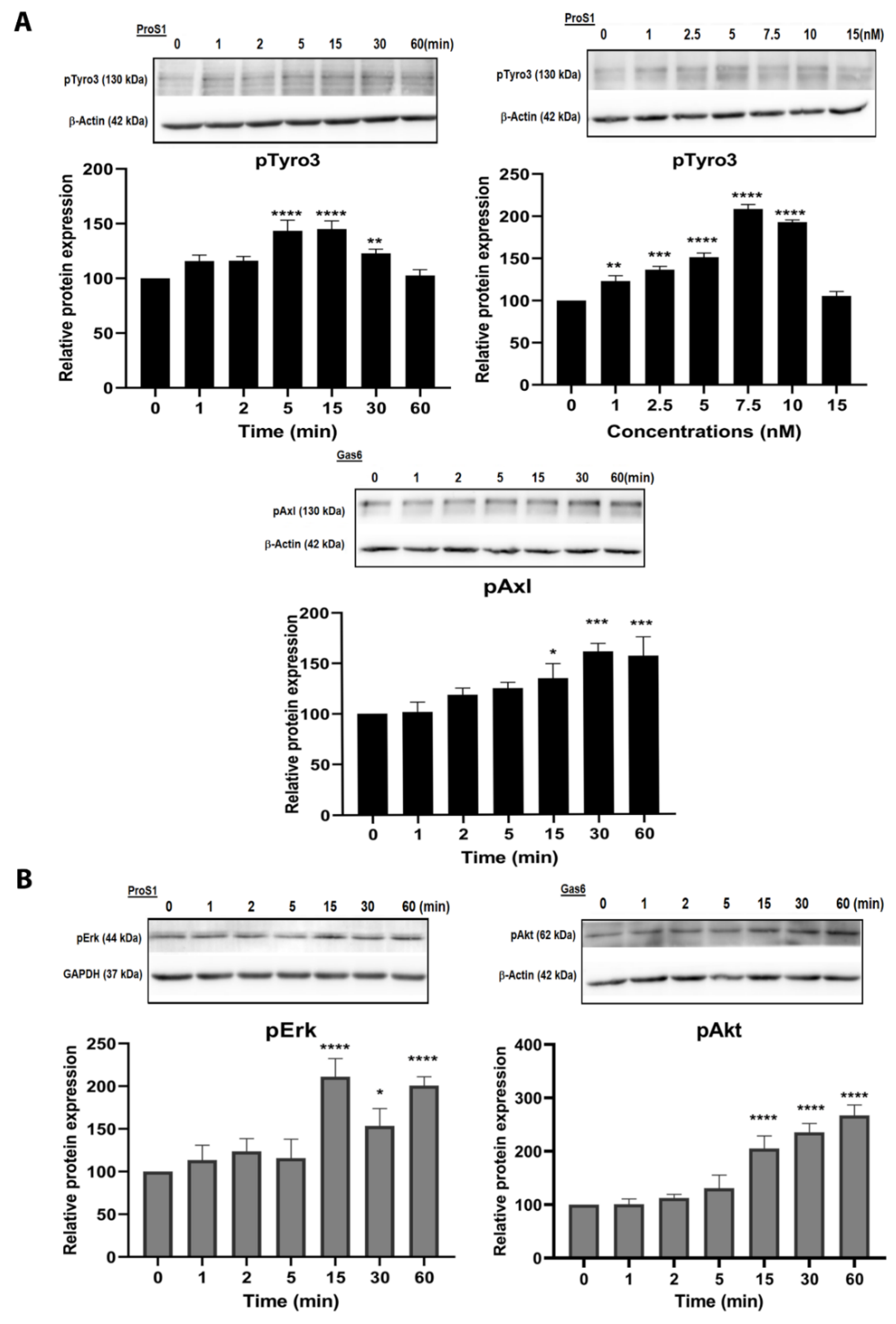 Cancers 11 01843 g002 Cancers 11 01843 g002