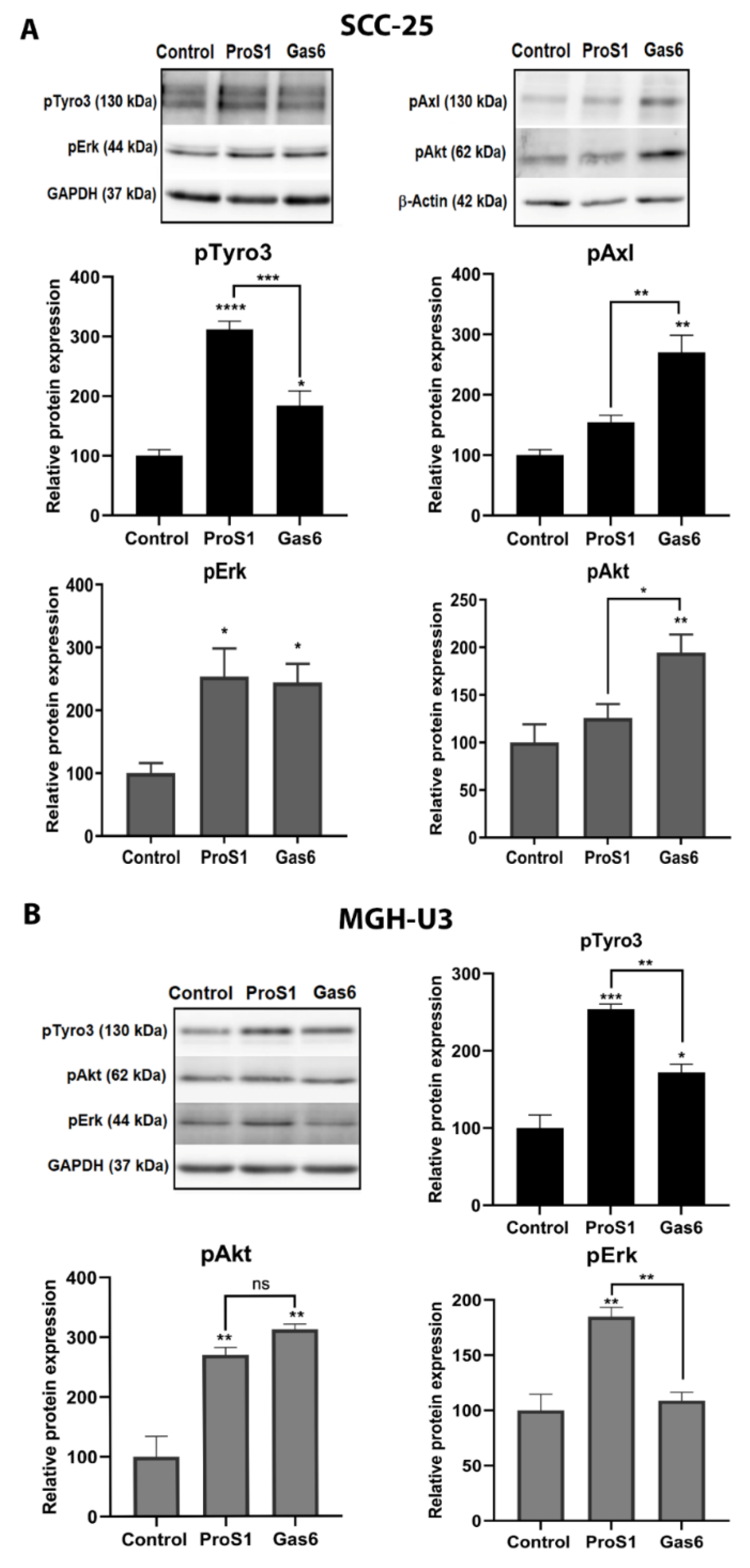Cancers 11 01843 g003 Cancers 11 01843 g003