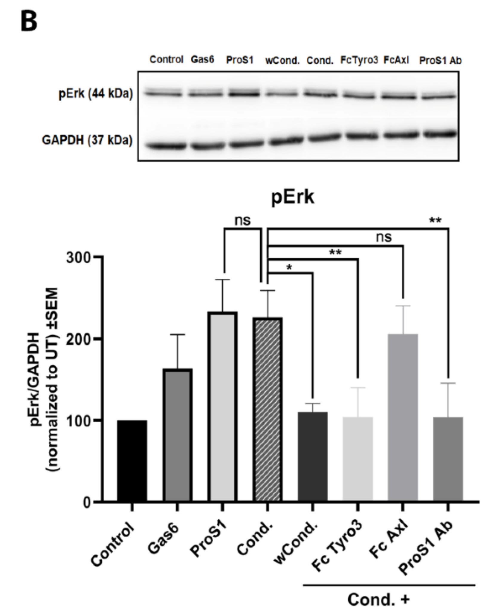 Cancers 11 01843 g004b Cancers 11 01843 g004b