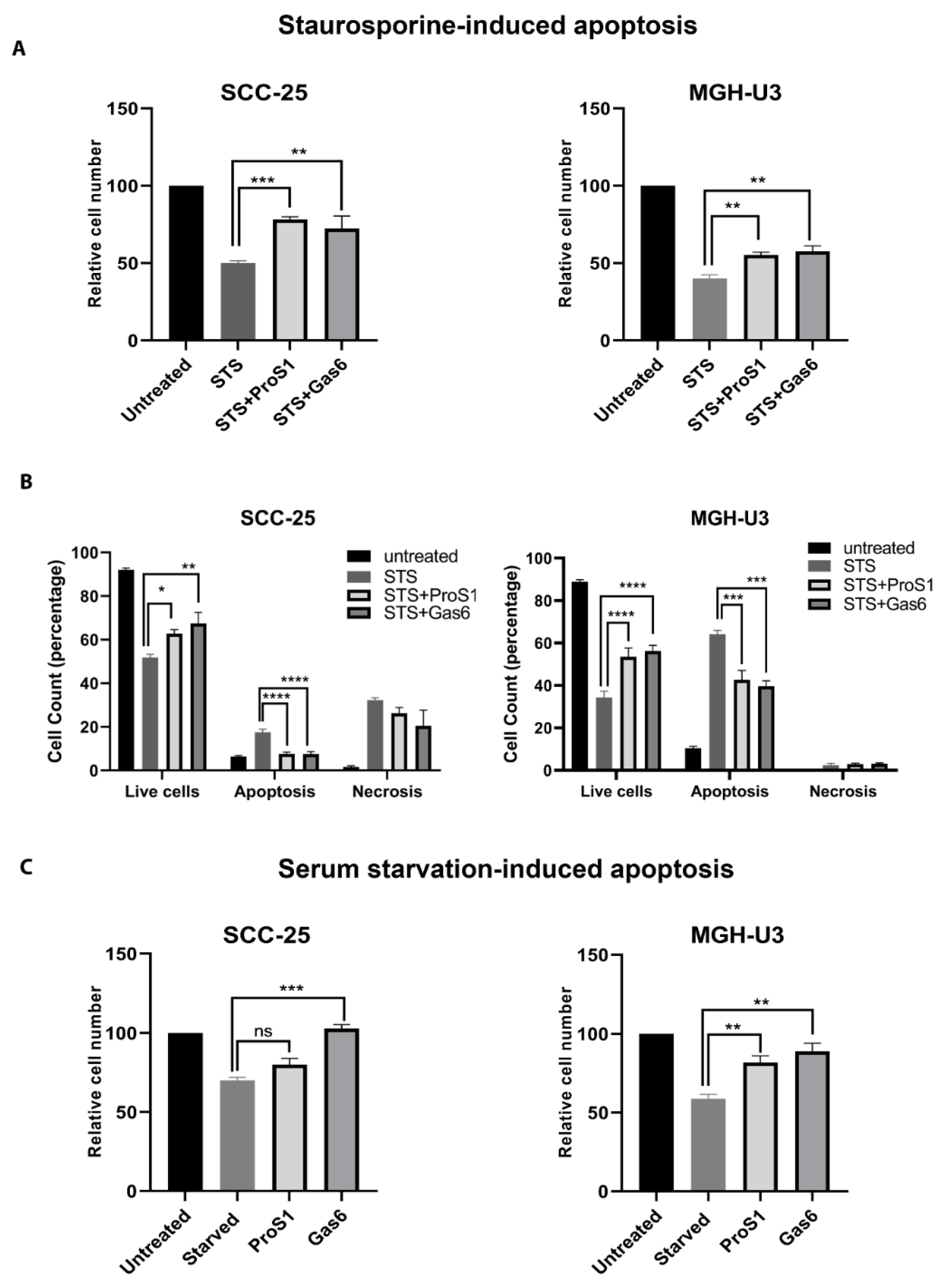 Cancers 11 01843 g005 Cancers 11 01843 g005