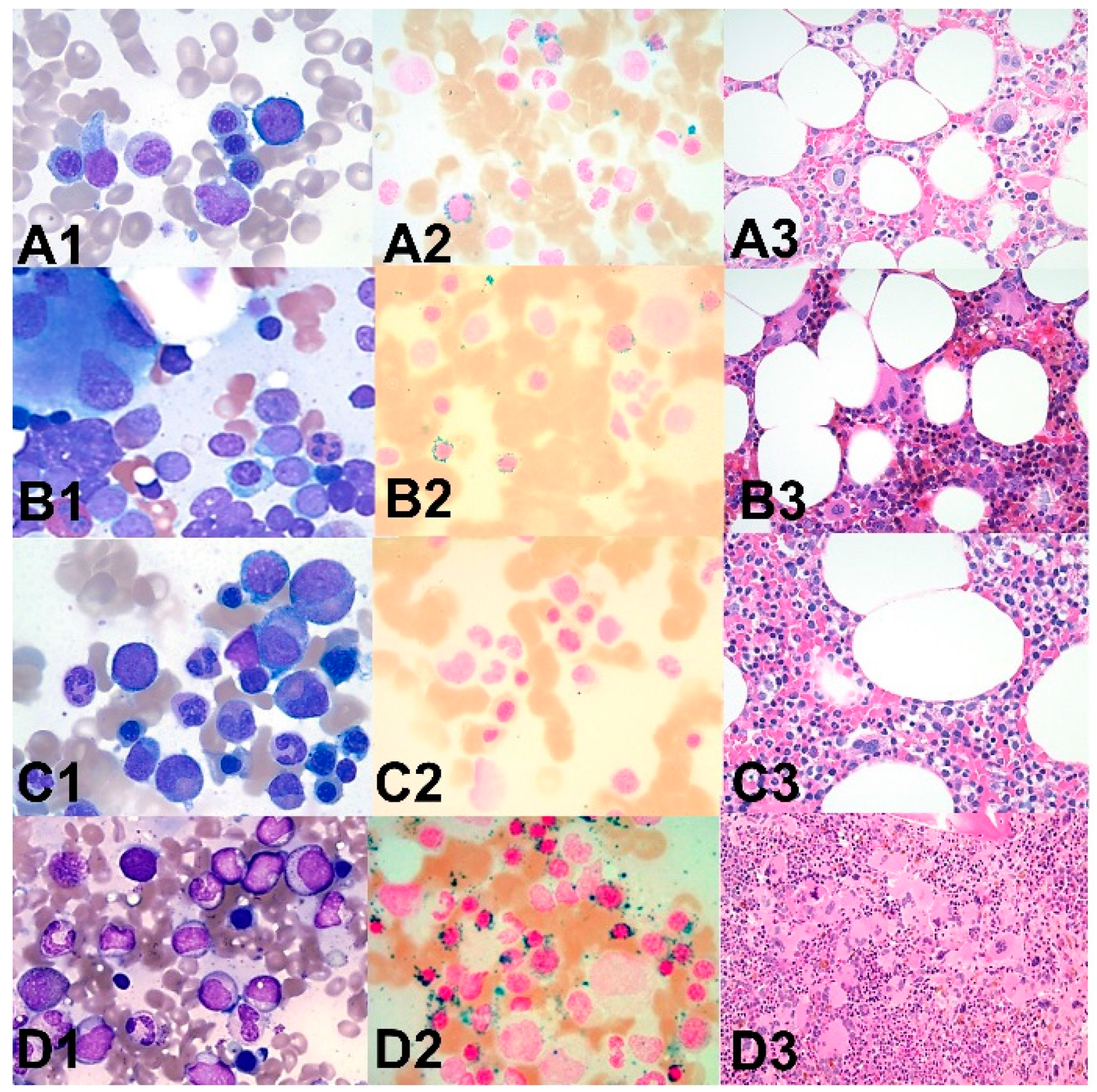 Cancers 11 01844 g003 Cancers 11 01844 g003